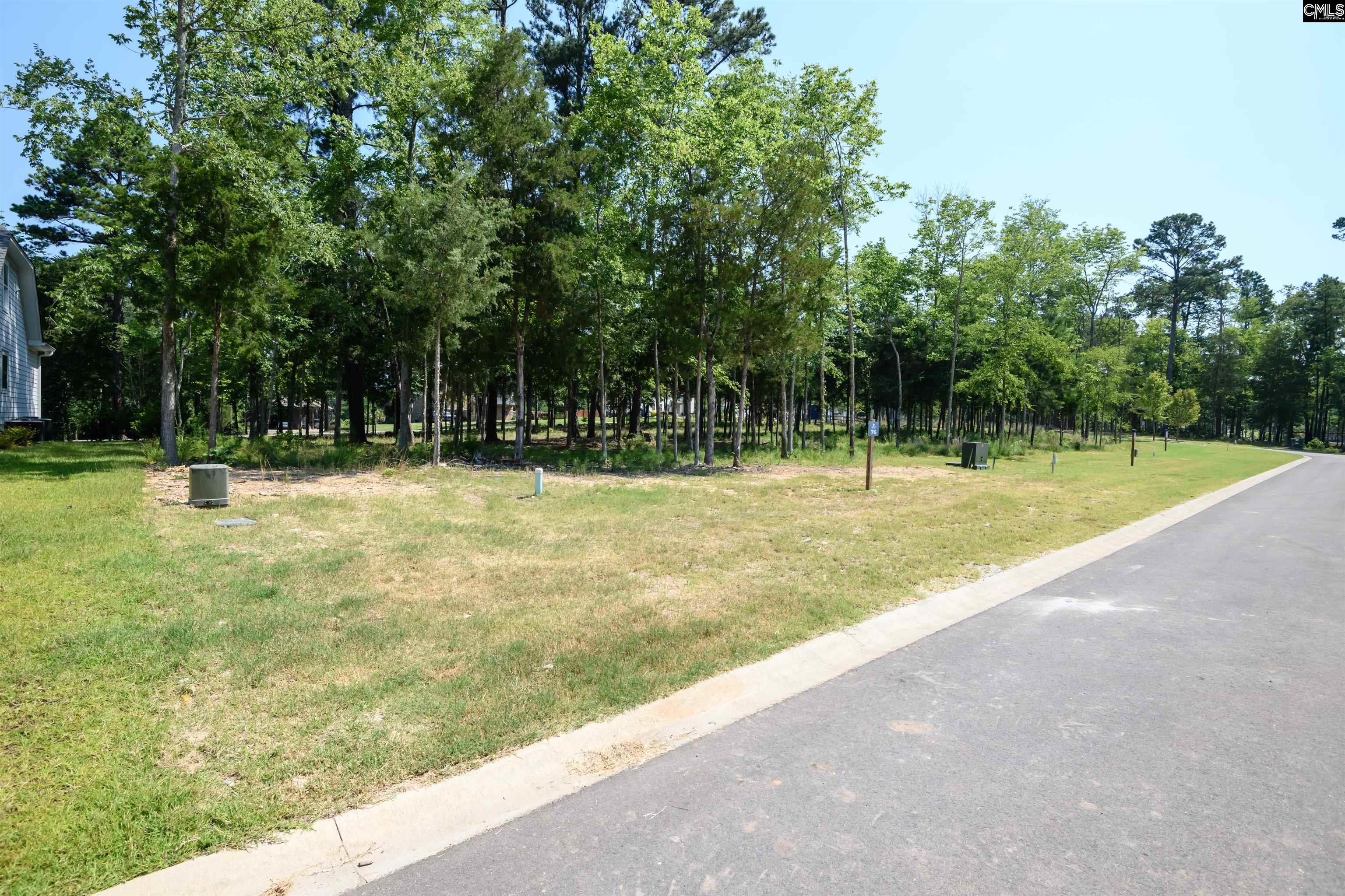 812 Elms Spinney Lane UNIT #76 Chapin, SC 29036