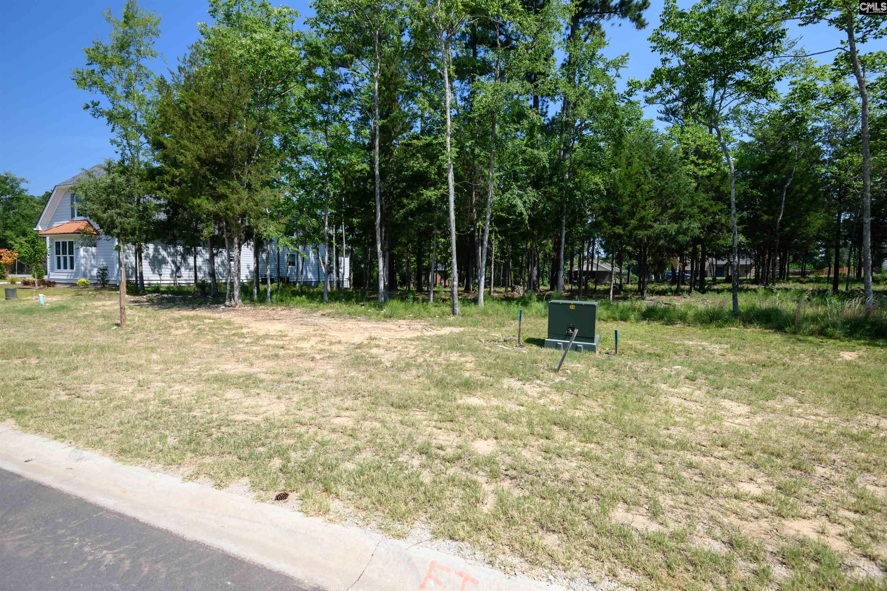812 Elms Spinney Lane UNIT #76 Chapin, SC 29036