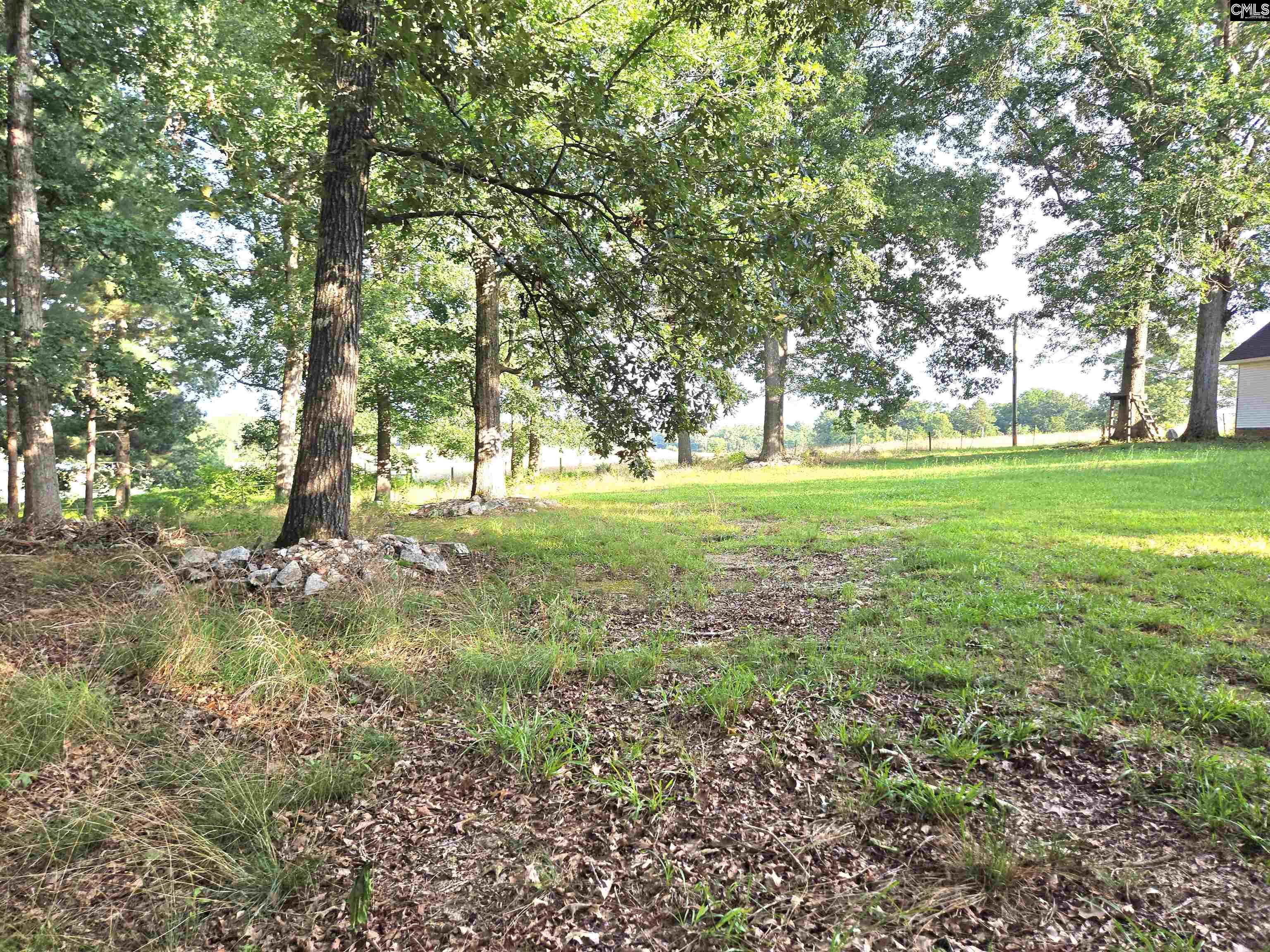 261 Long Road, Saluda, South Carolina image 37