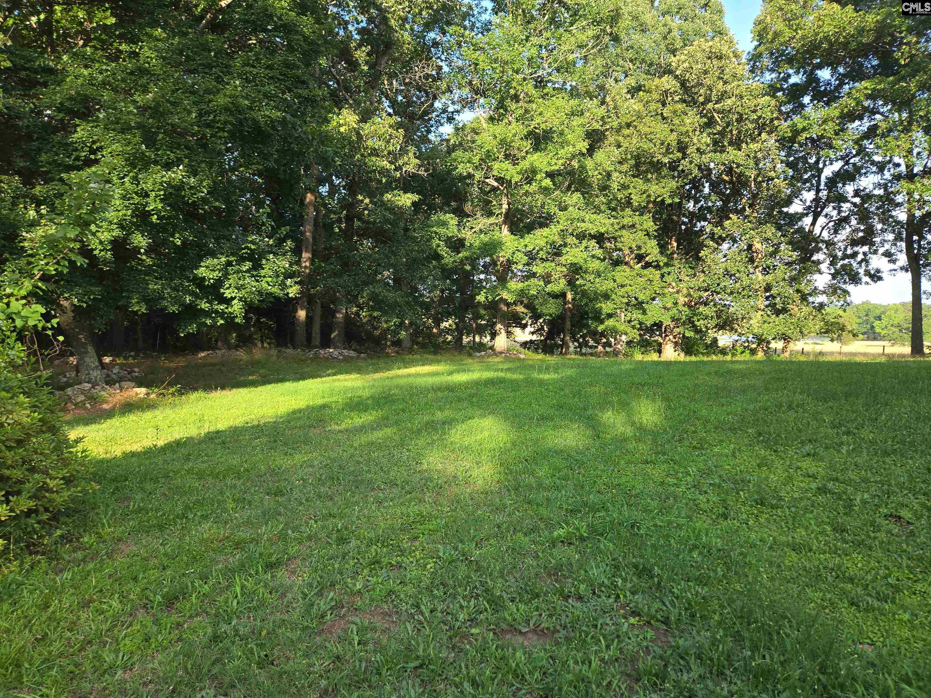 261 Long Road, Saluda, South Carolina image 38