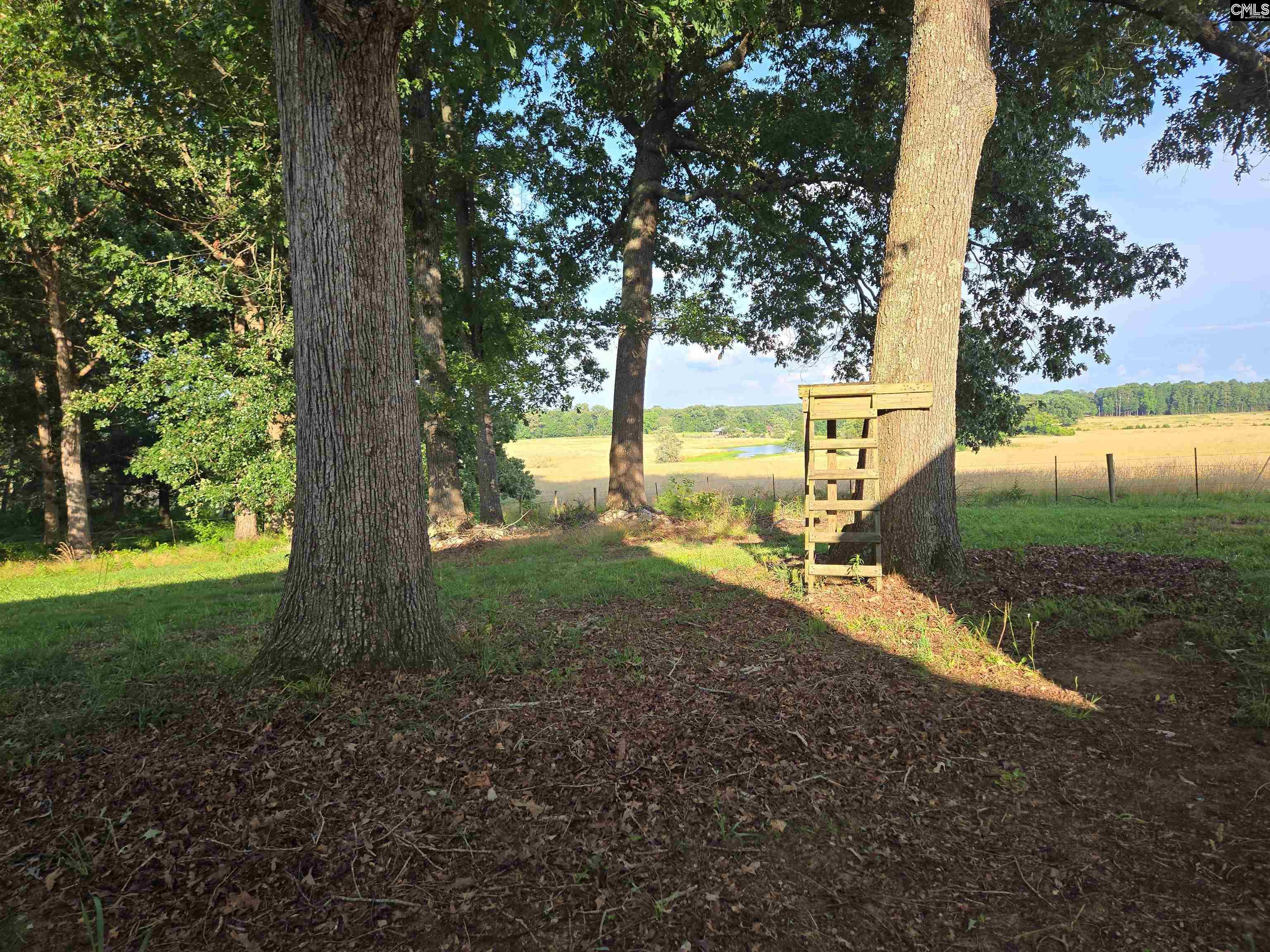 261 Long Road, Saluda, South Carolina image 39
