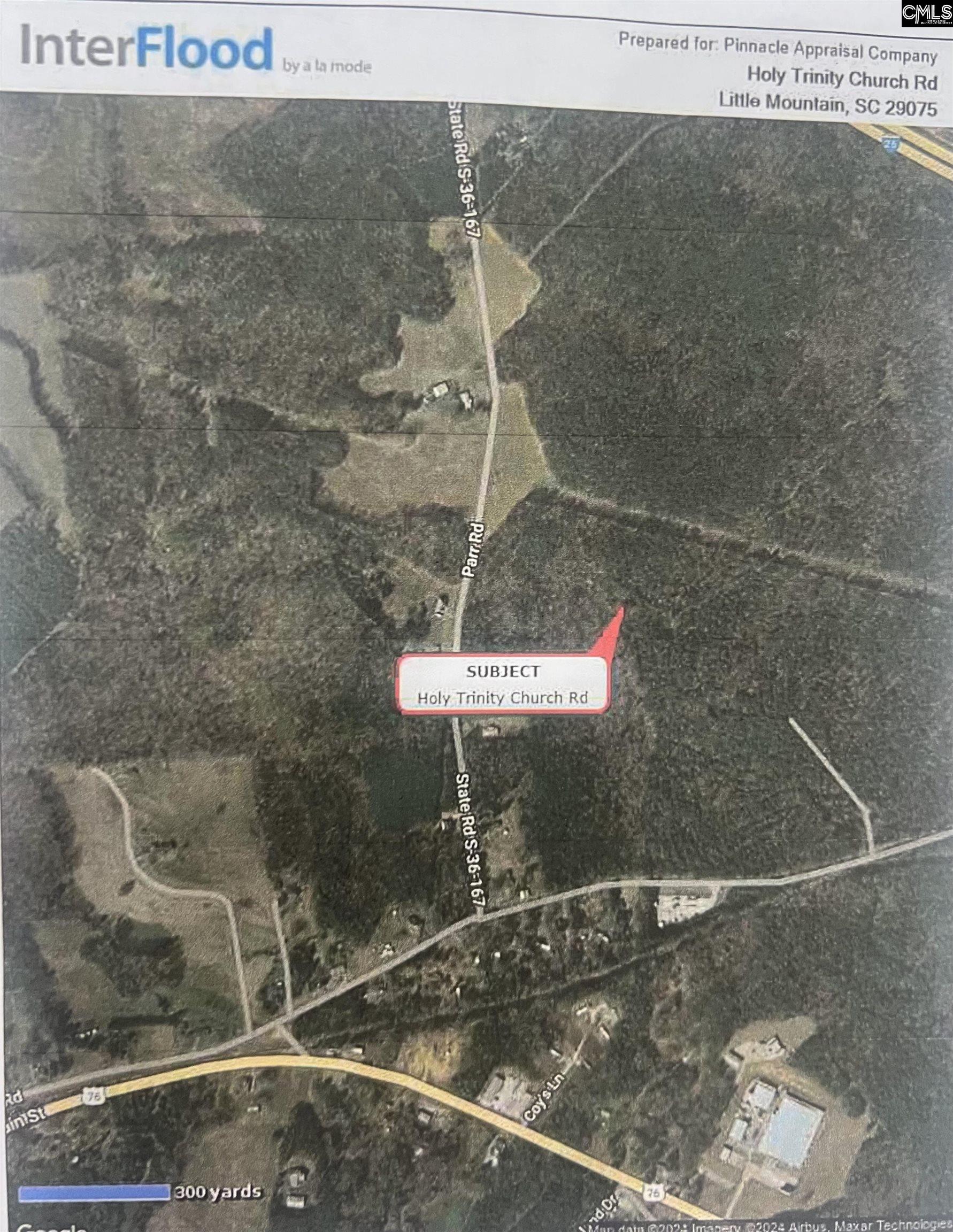 Parcle 2 East 167 Highway, Little Mountain, South Carolina image 2