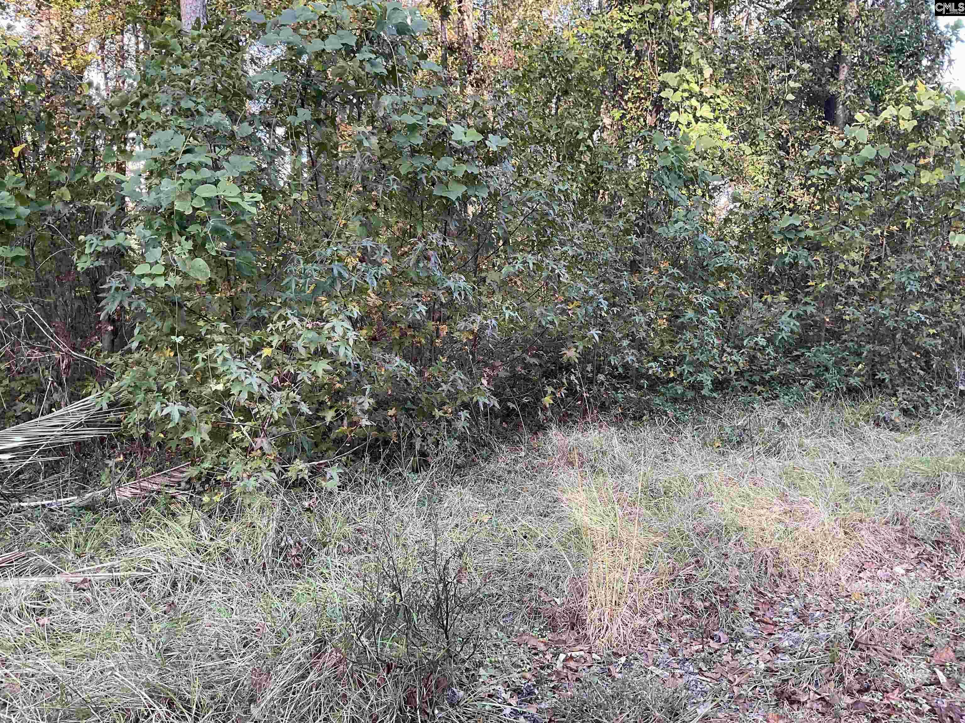 3551 Moonlight Road, Barnwell, South Carolina image 1