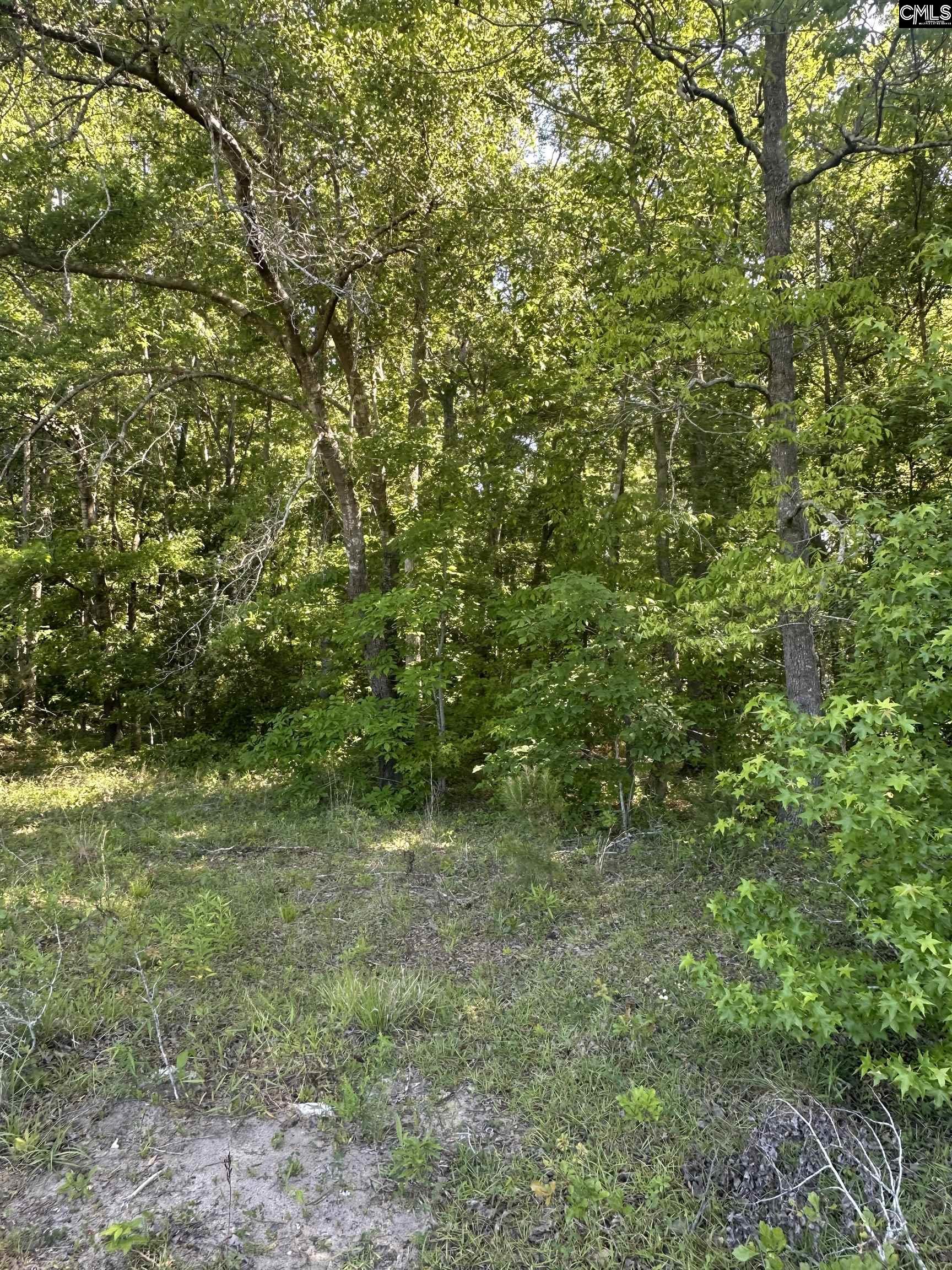 3551 Moonlight Road, Barnwell, South Carolina image 14