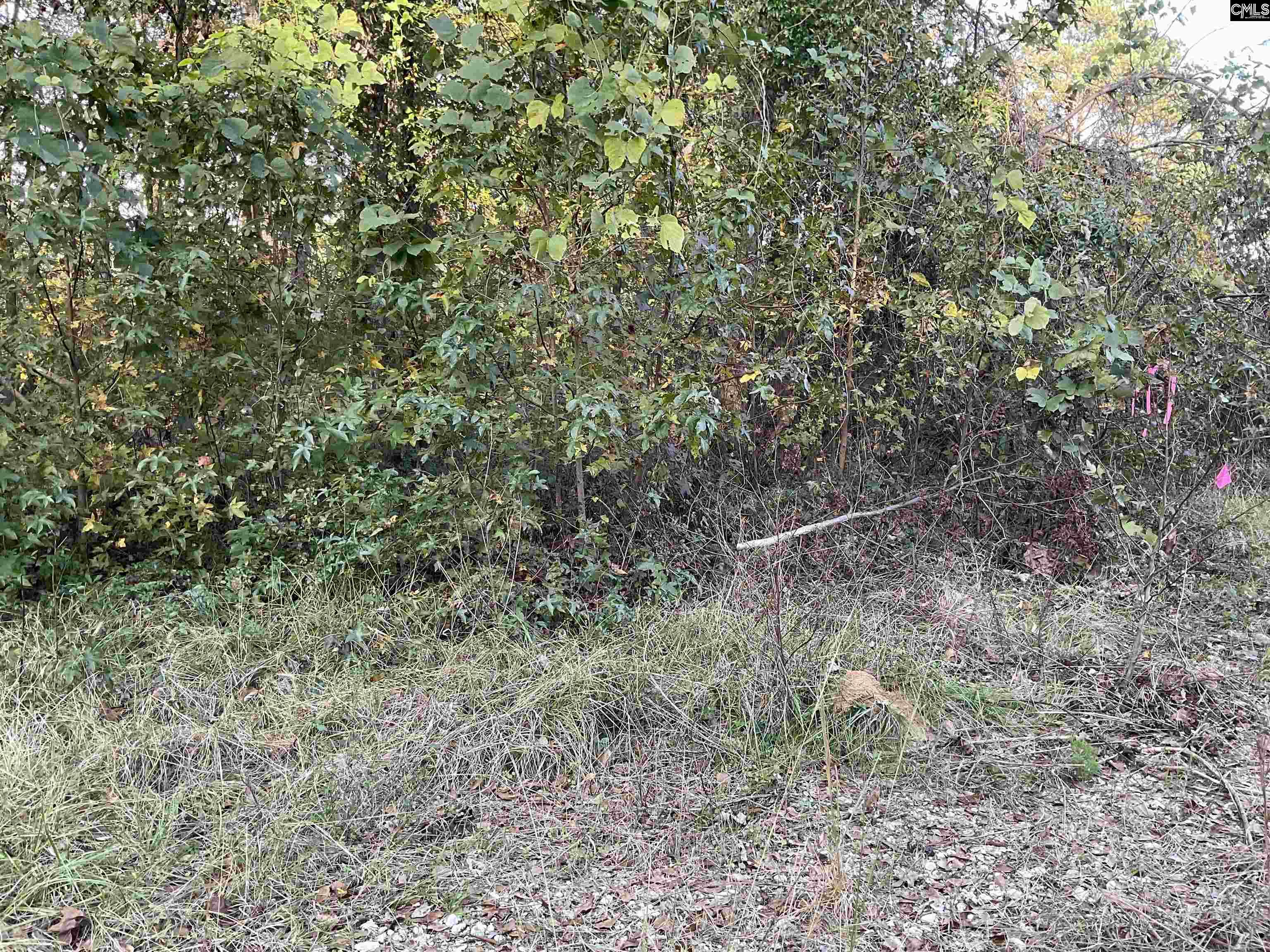 3551 Moonlight Road, Barnwell, South Carolina image 4