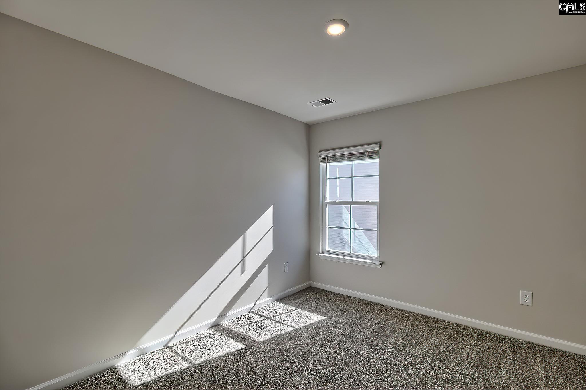 115 Calm Citadel Drive, Pelion, South Carolina image 19