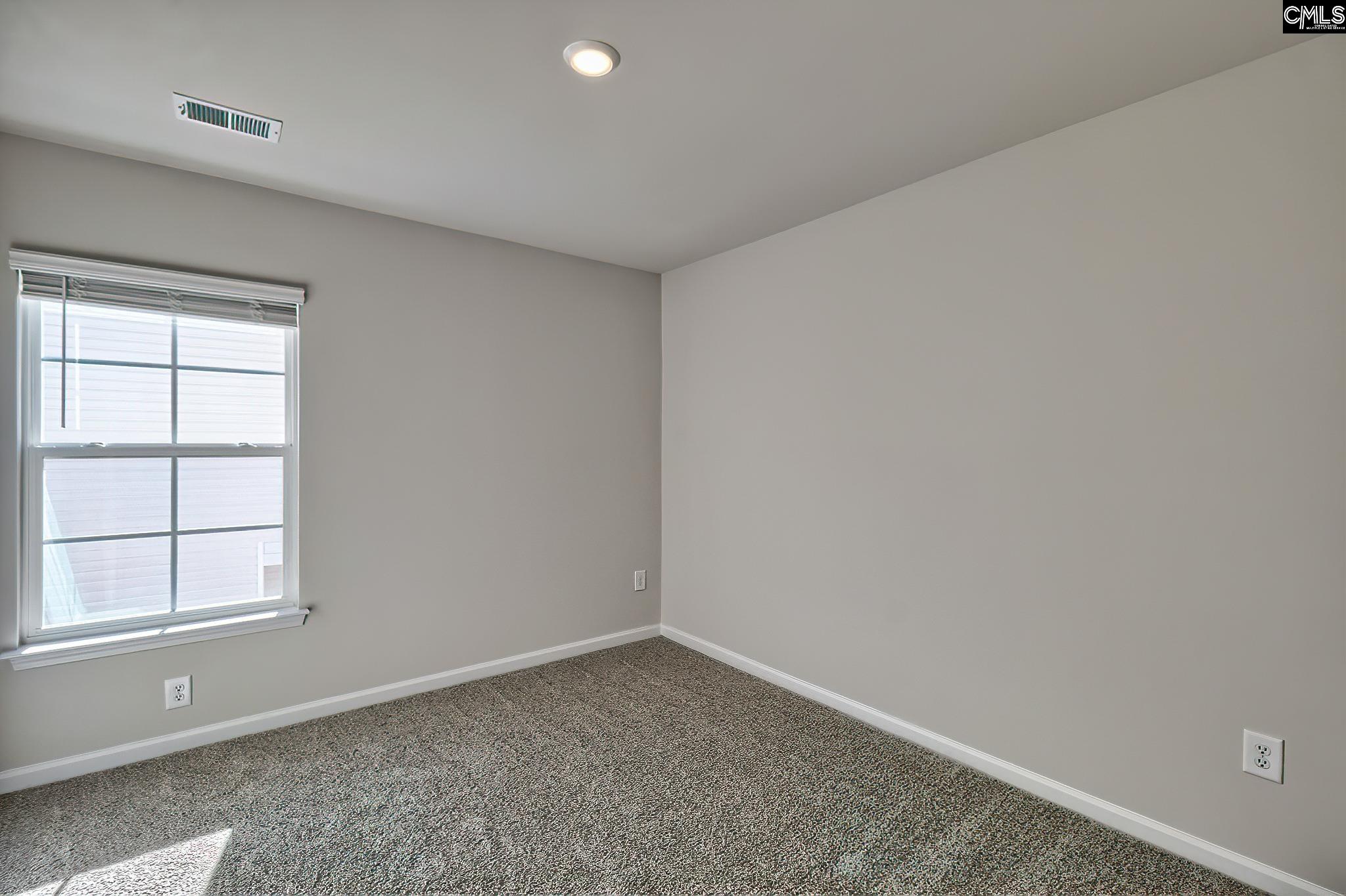 115 Calm Citadel Drive, Pelion, South Carolina image 21