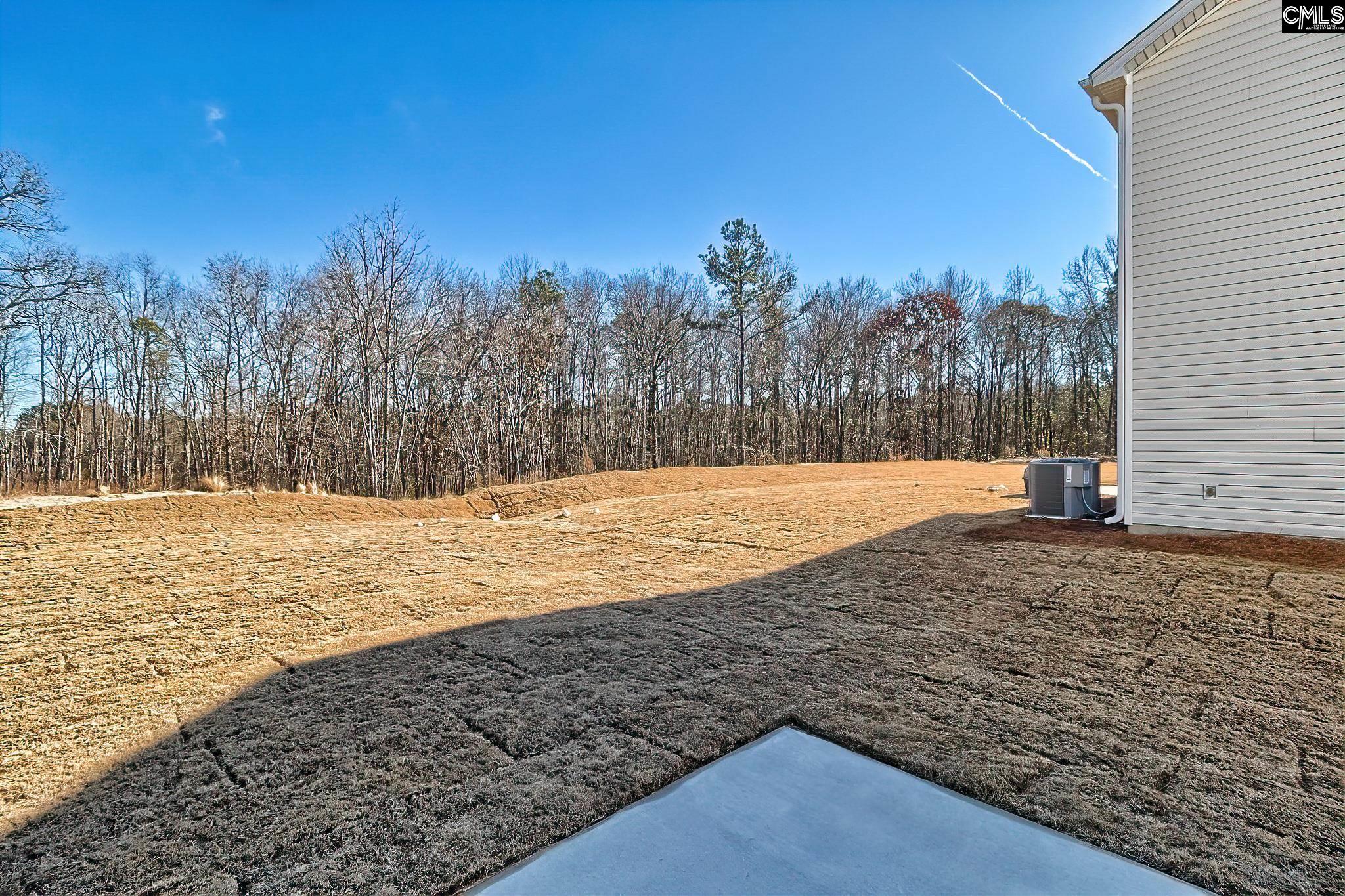 115 Calm Citadel Drive, Pelion, South Carolina image 30