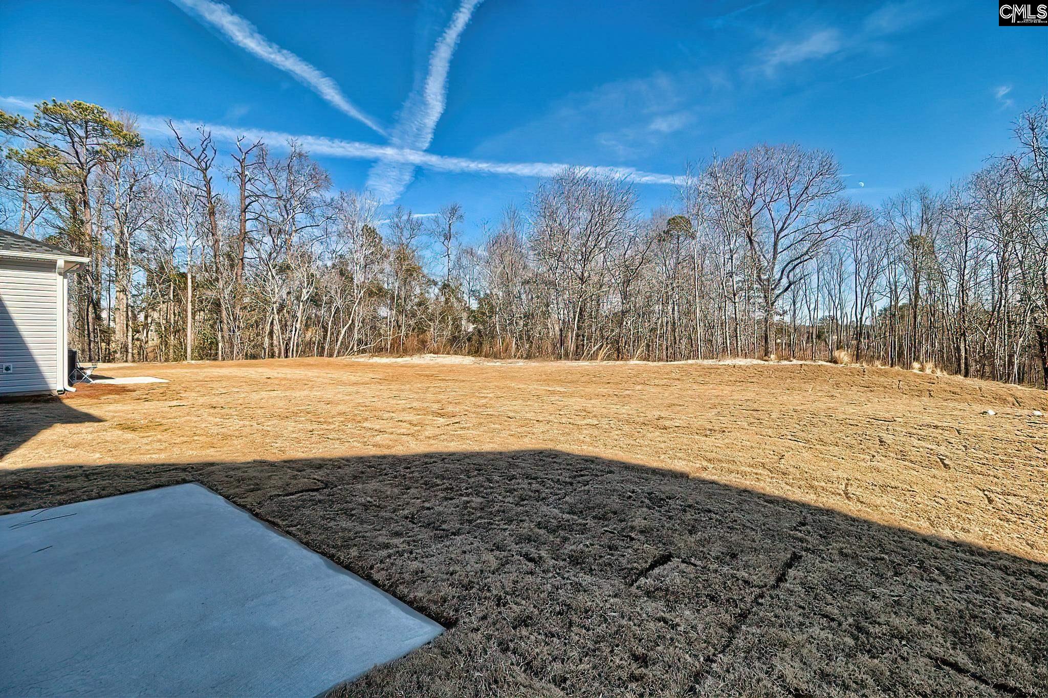 115 Calm Citadel Drive, Pelion, South Carolina image 31