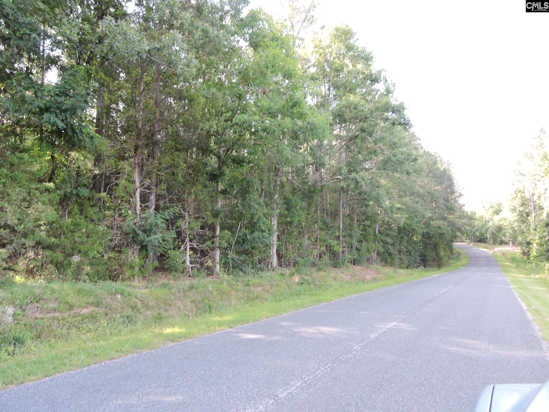 TBD Leisure Point Rd, Prosperity, South Carolina image 1