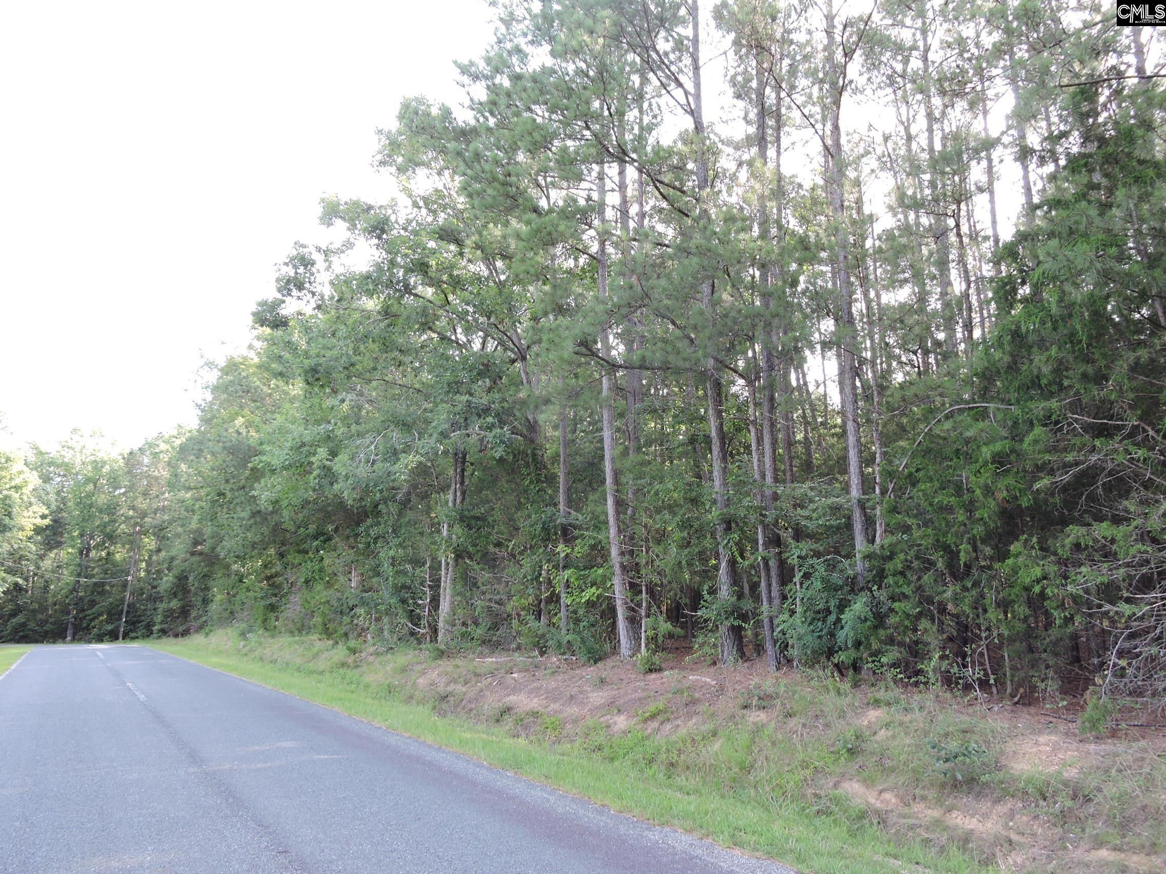 TBD Leisure Point Rd, Prosperity, South Carolina image 2