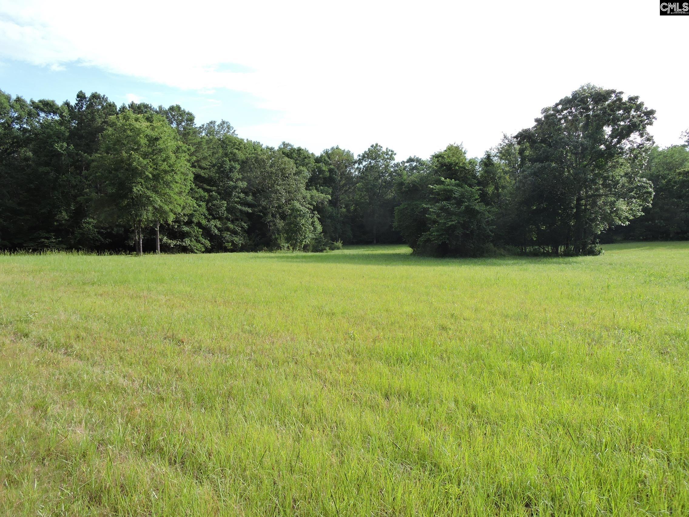 TBD Leisure Point Rd, Prosperity, South Carolina image 12