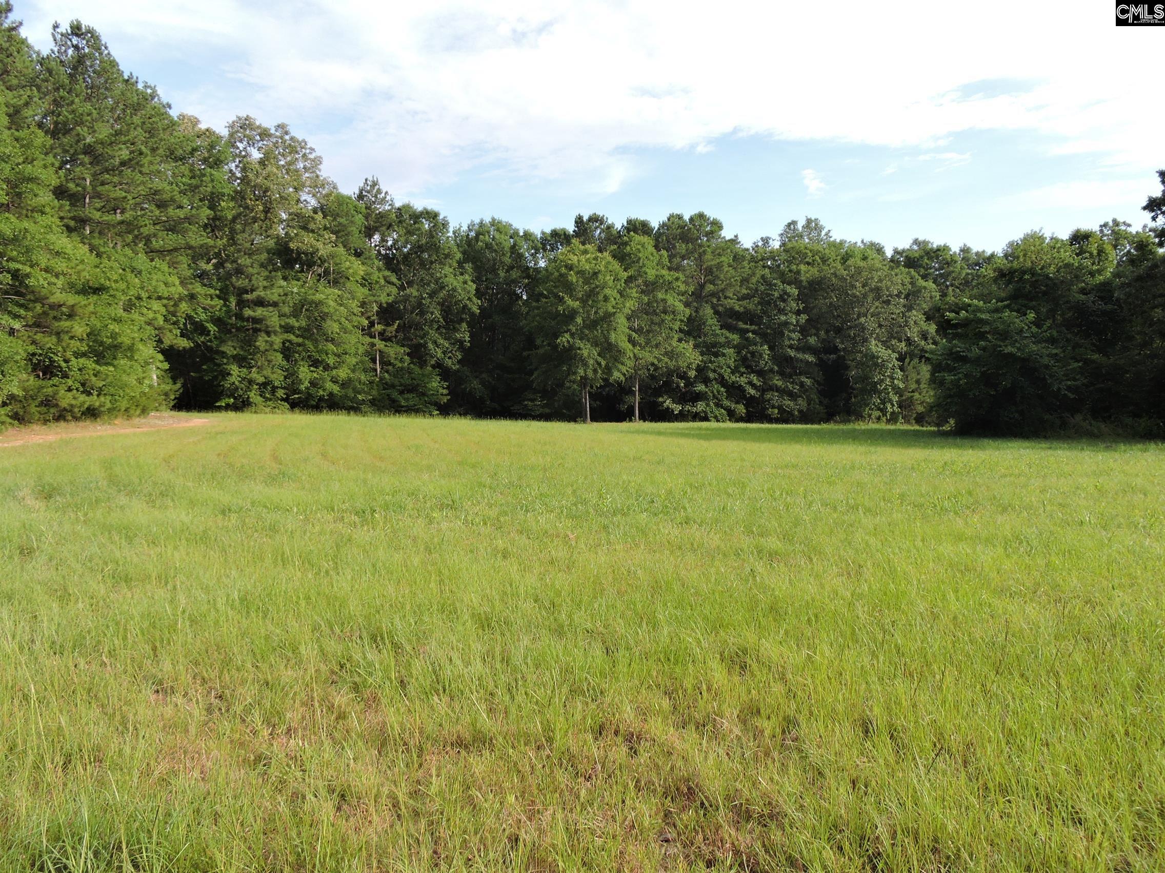 TBD Leisure Point Rd, Prosperity, South Carolina image 13