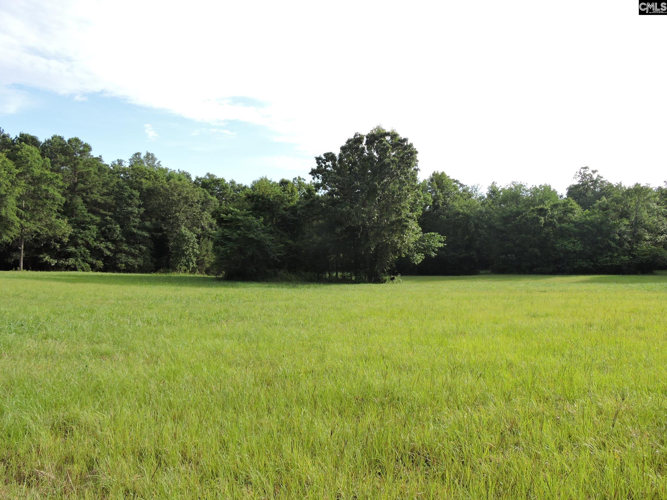 TBD Leisure Point Rd, Prosperity, South Carolina image 14