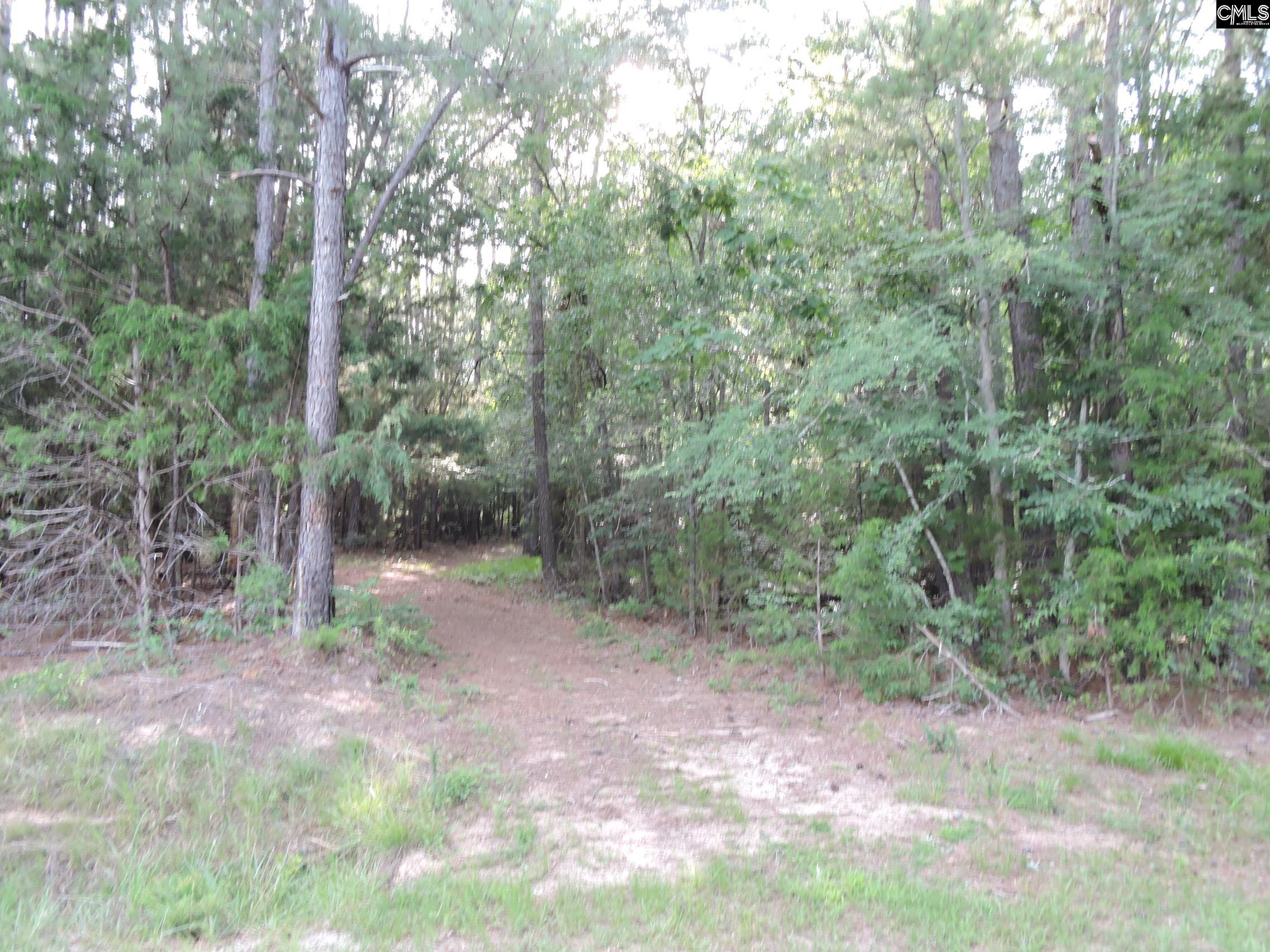 TBD Leisure Point Rd, Prosperity, South Carolina image 3