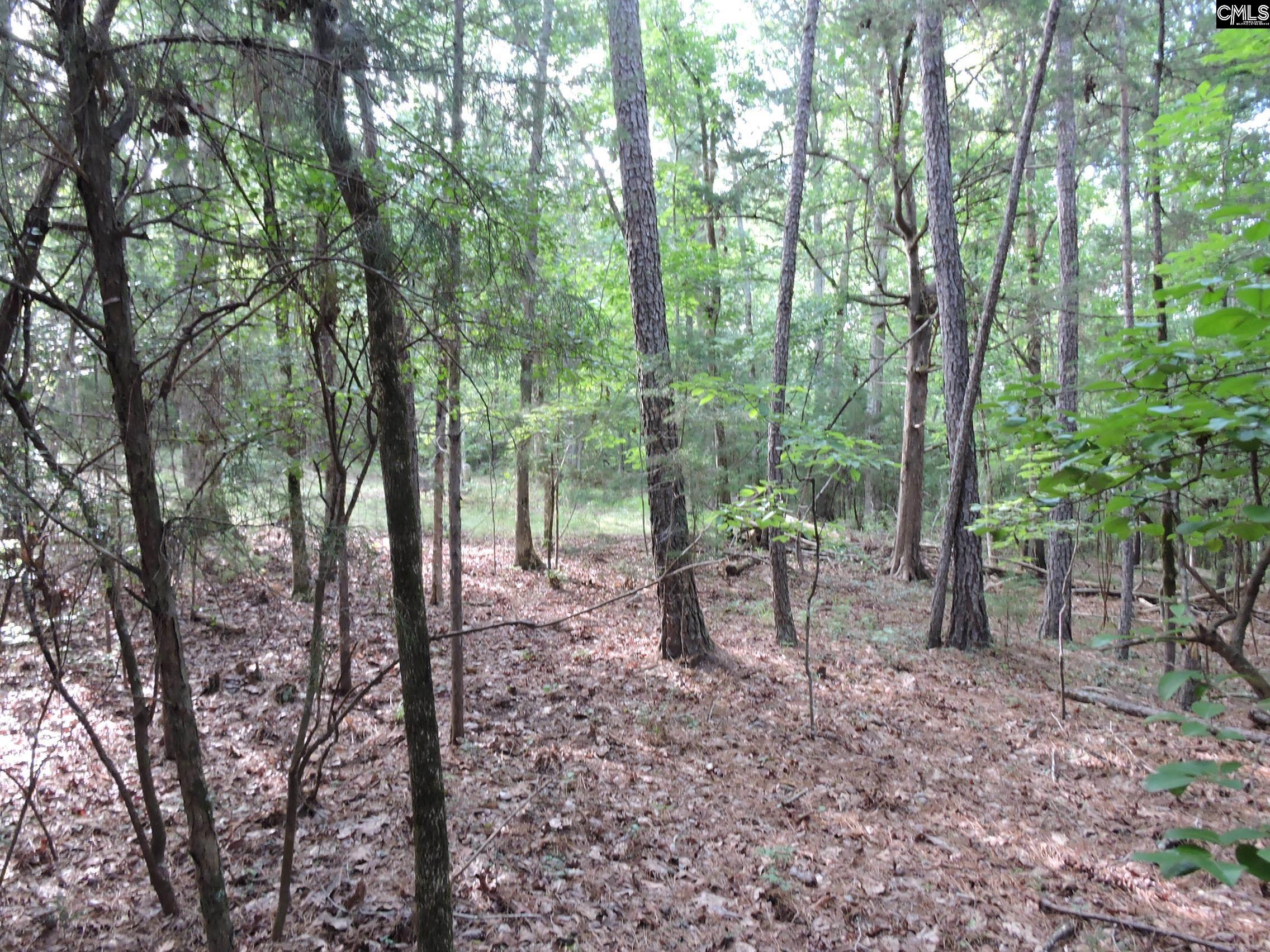 TBD Leisure Point Rd, Prosperity, South Carolina image 5