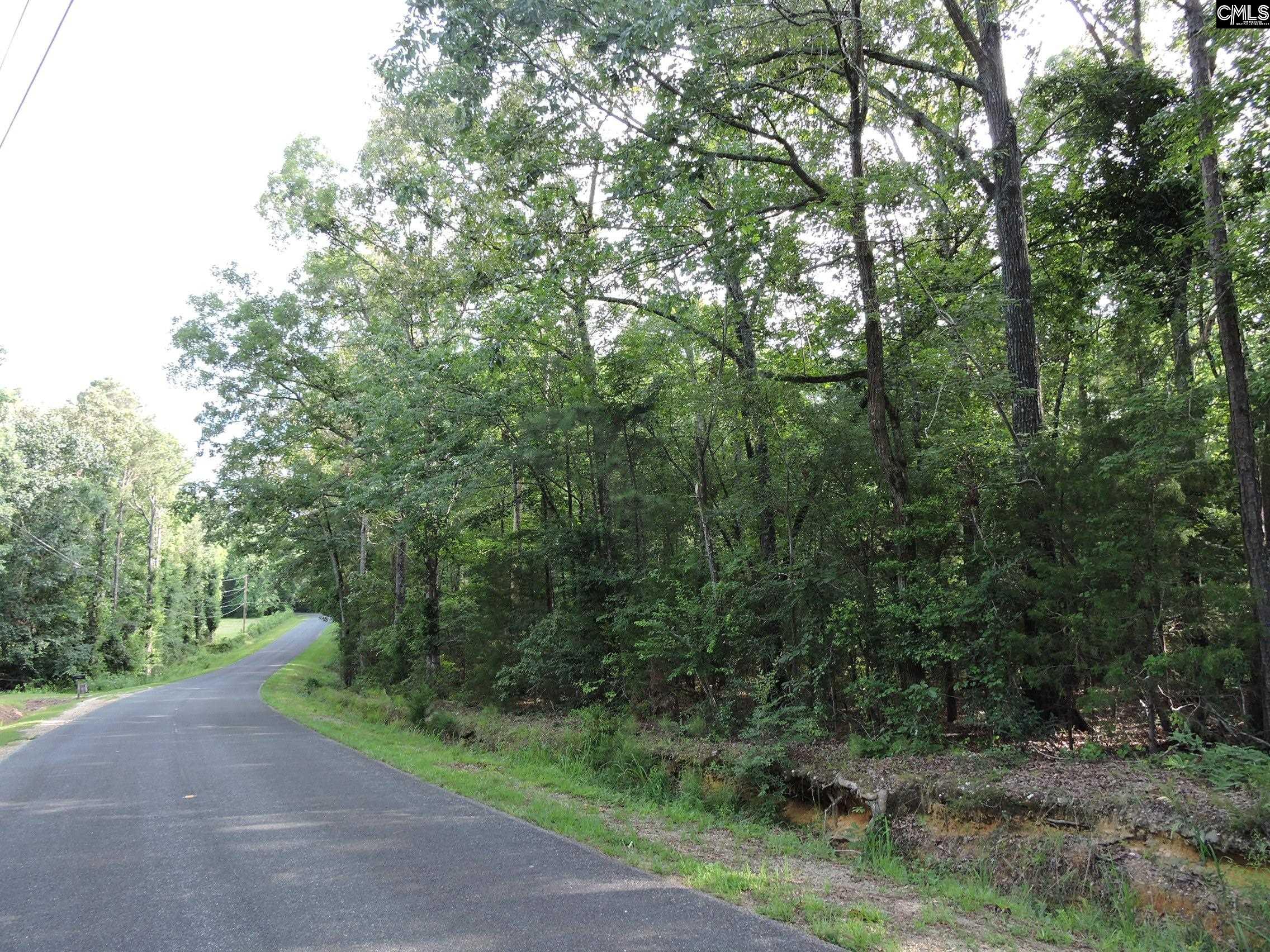 TBD Leisure Point Rd, Prosperity, South Carolina image 7