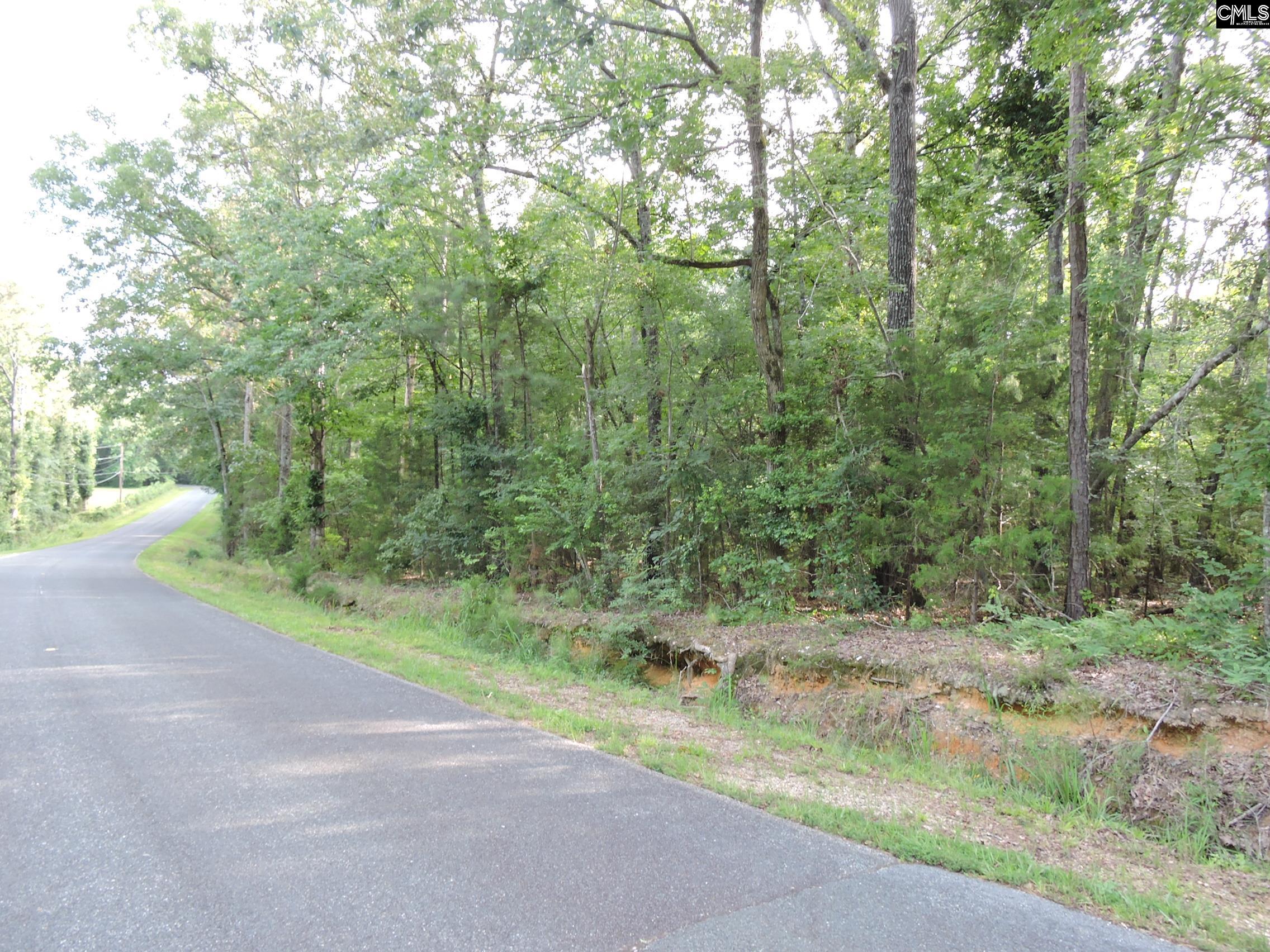 TBD Leisure Point Rd, Prosperity, South Carolina image 8