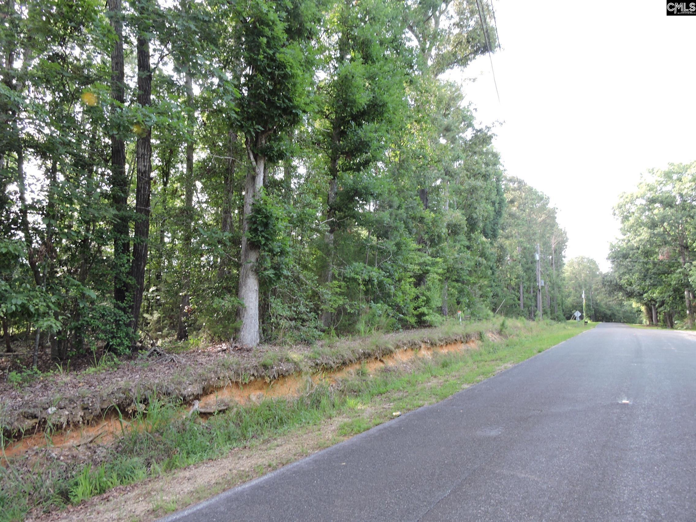TBD Leisure Point Rd, Prosperity, South Carolina image 9