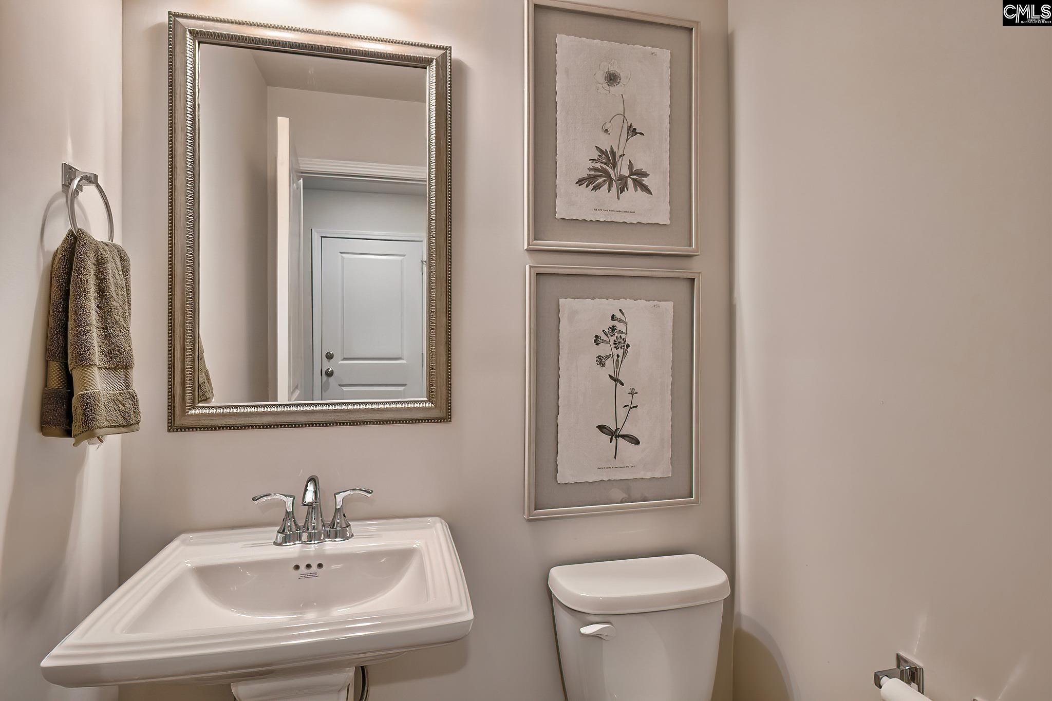 119 Calm Citadel Drive, Pelion, South Carolina image 22