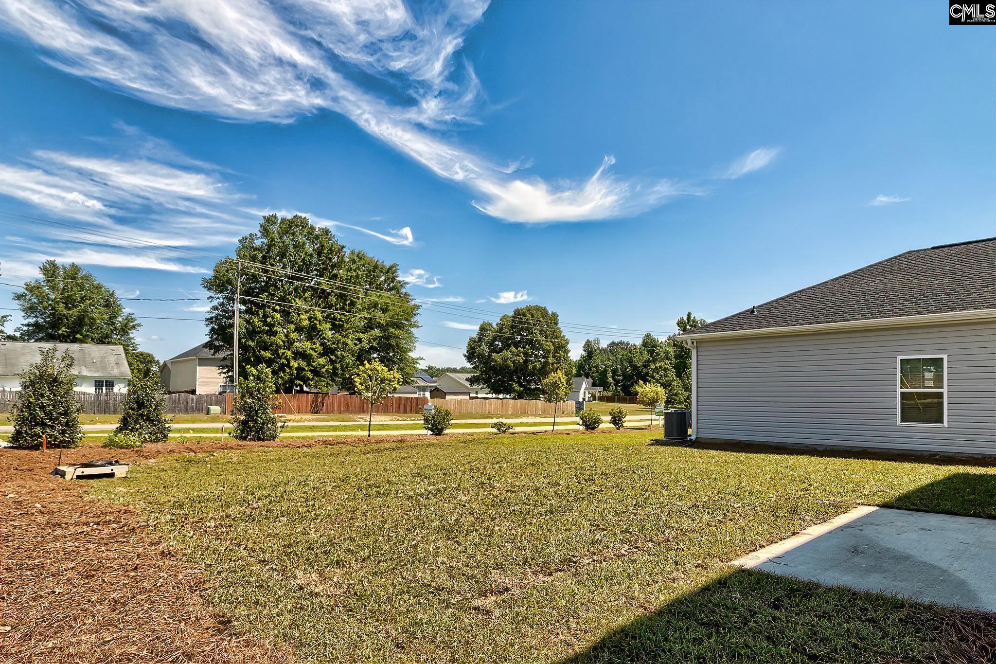 119 Calm Citadel Drive, Pelion, South Carolina image 27
