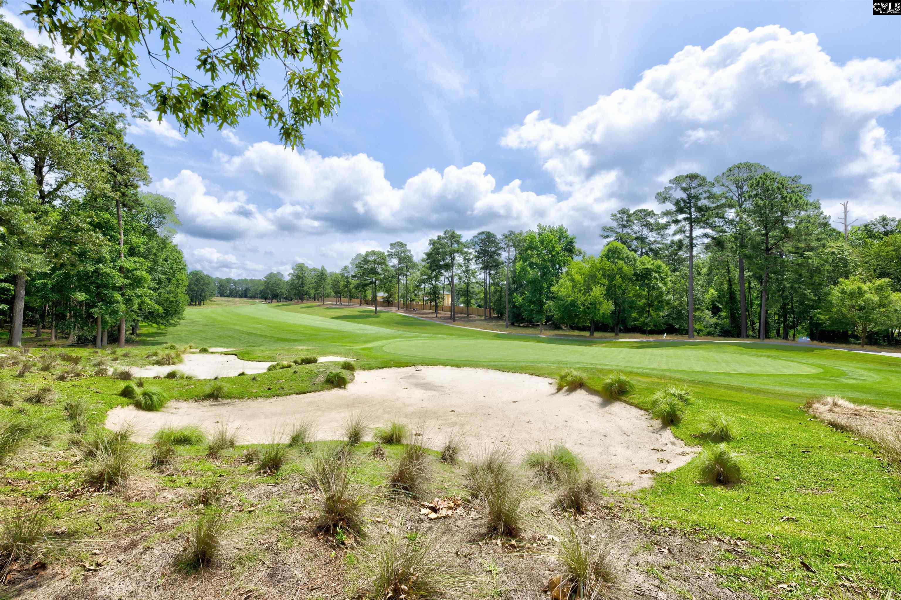 263 Thacher Loop, Elgin, South Carolina image 33