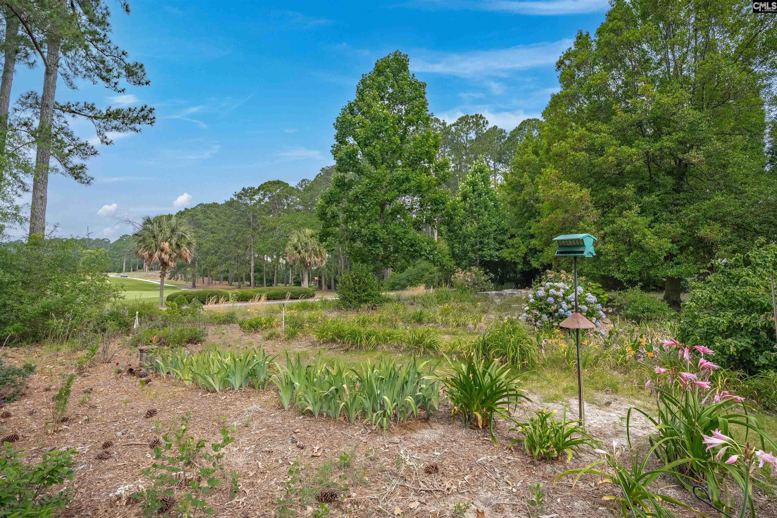 2432 Bermuda Hills Road, Columbia, South Carolina image 42