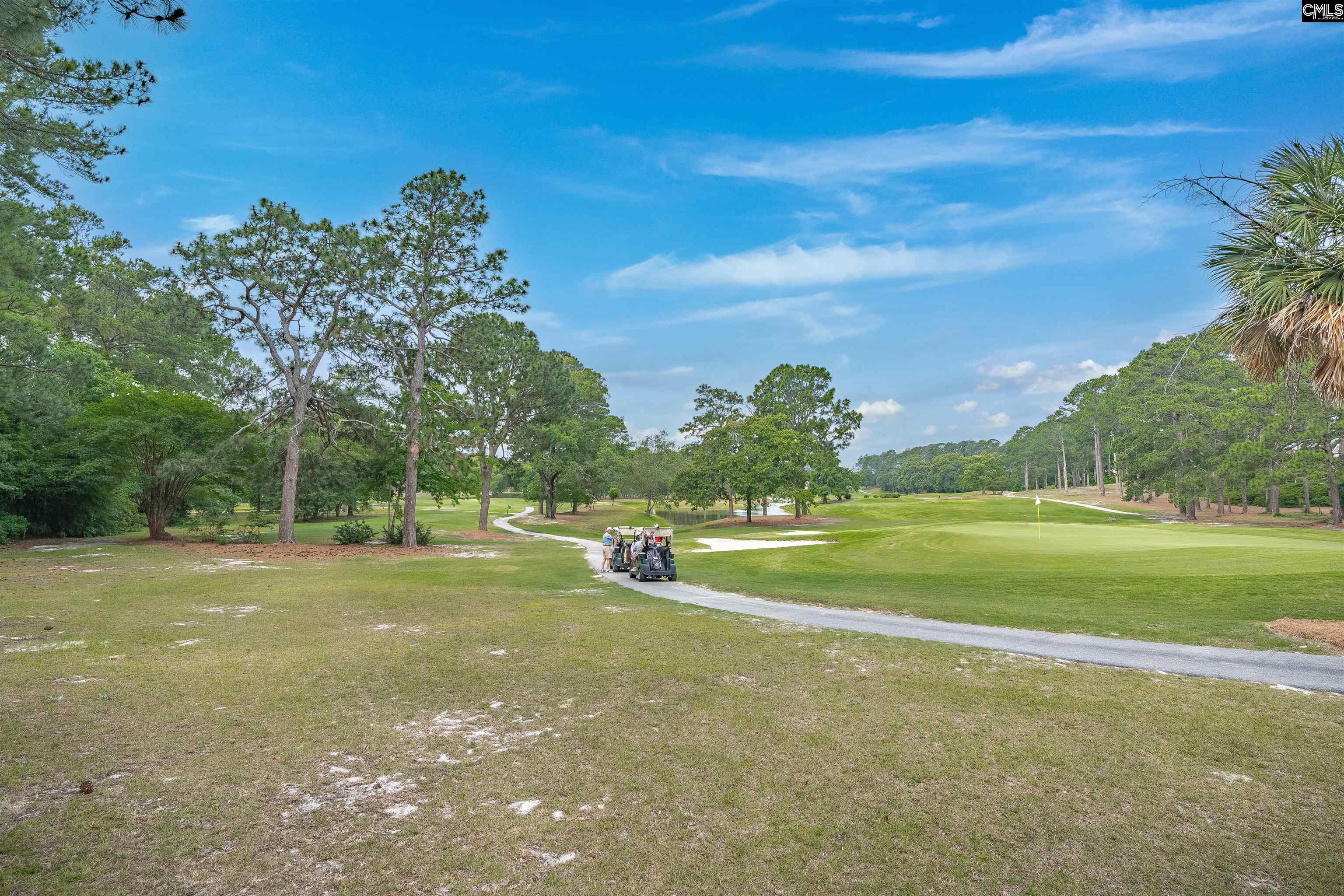 2432 Bermuda Hills Road, Columbia, South Carolina image 46