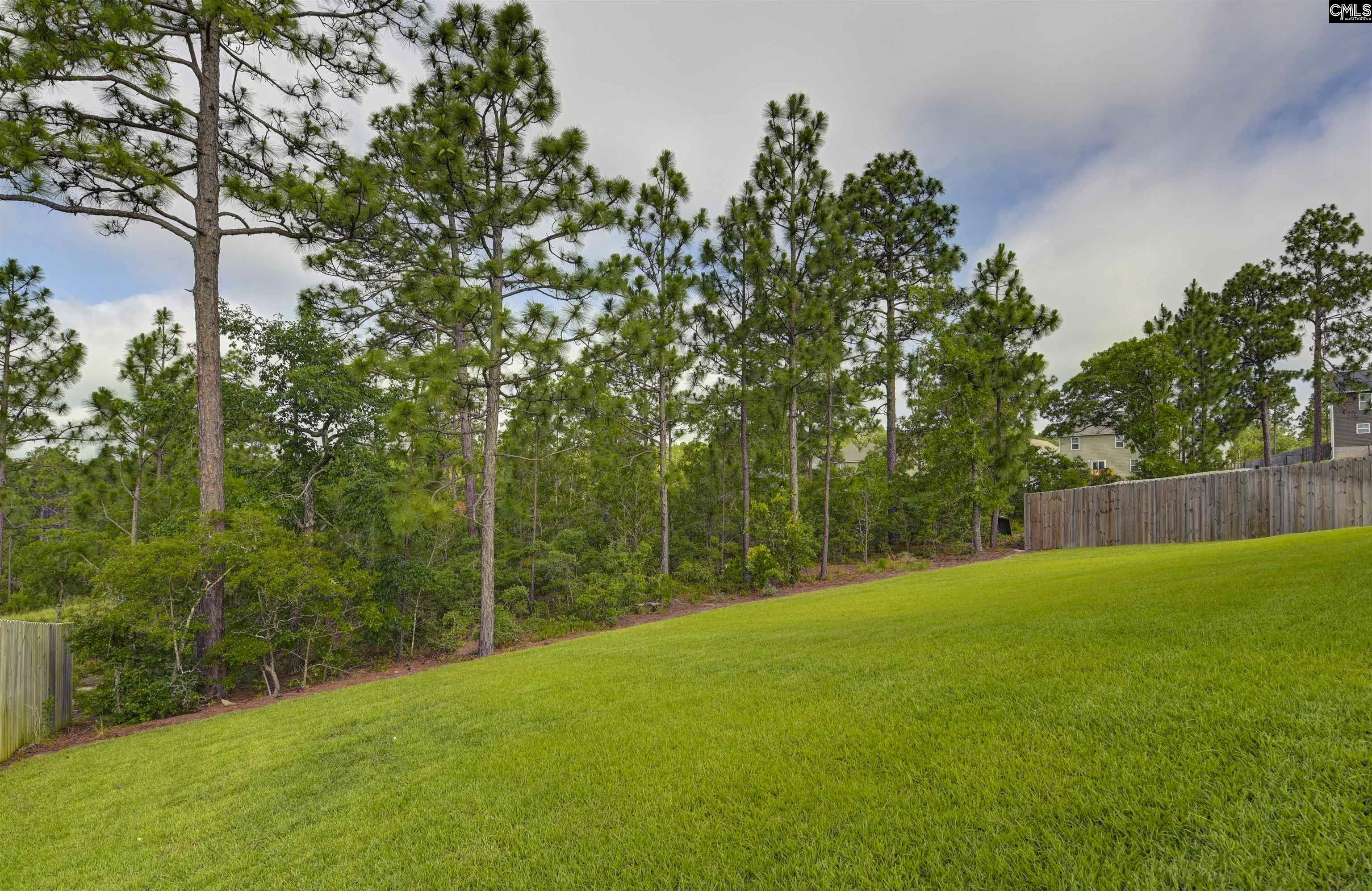 522 Sasanqua Lane, Lexington, South Carolina image 12