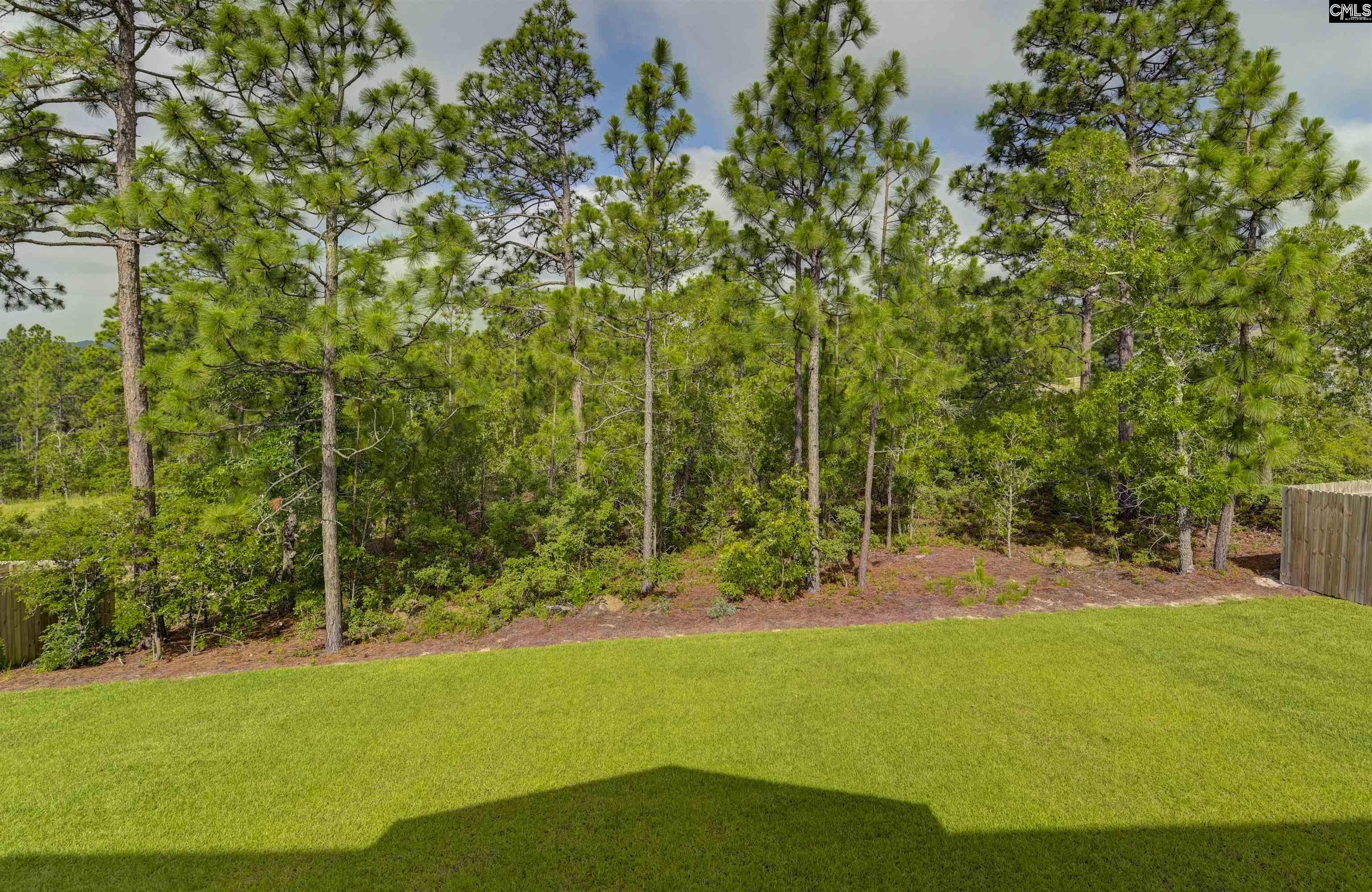 522 Sasanqua Lane, Lexington, South Carolina image 15