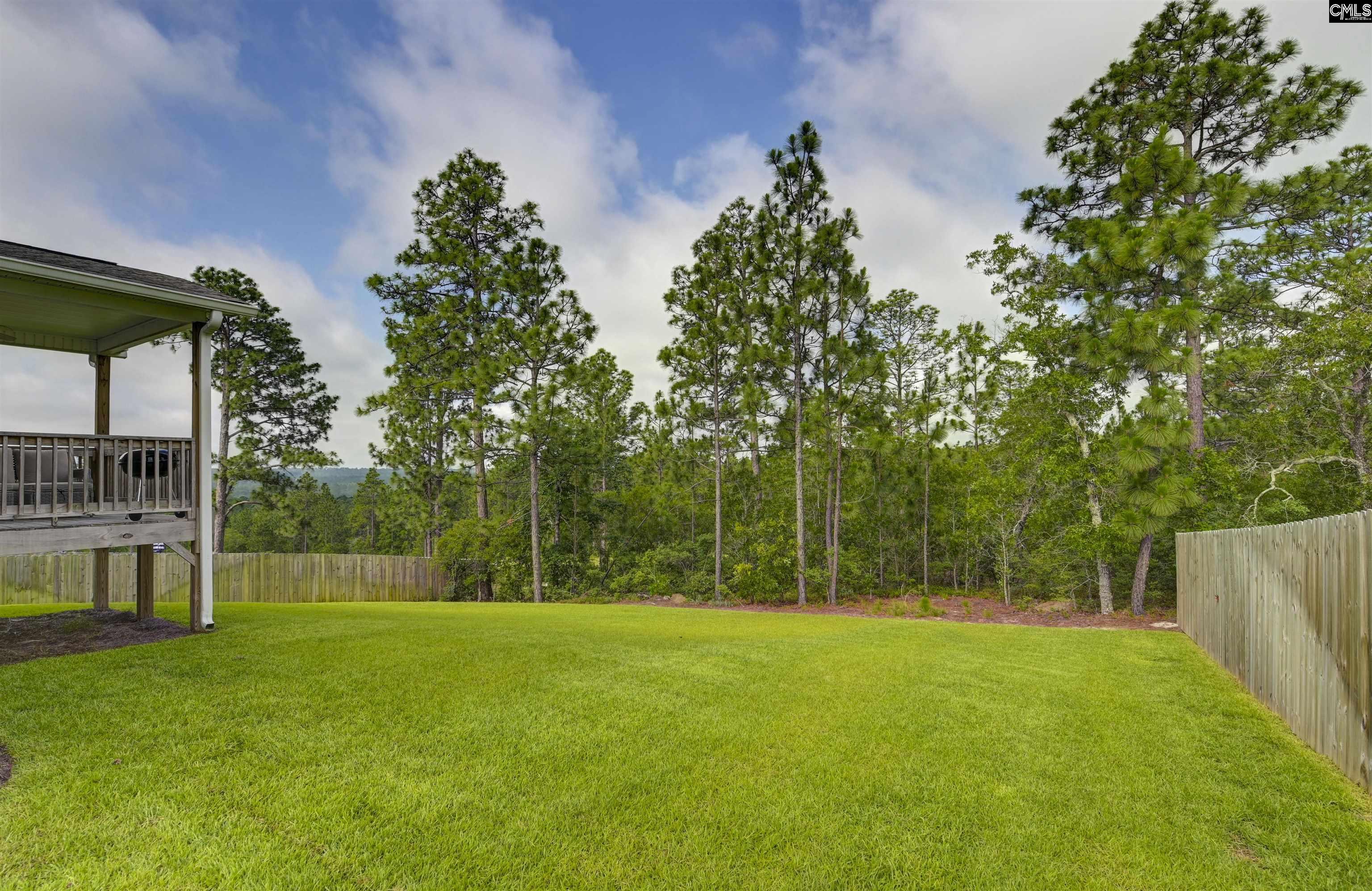 522 Sasanqua Lane, Lexington, South Carolina image 6