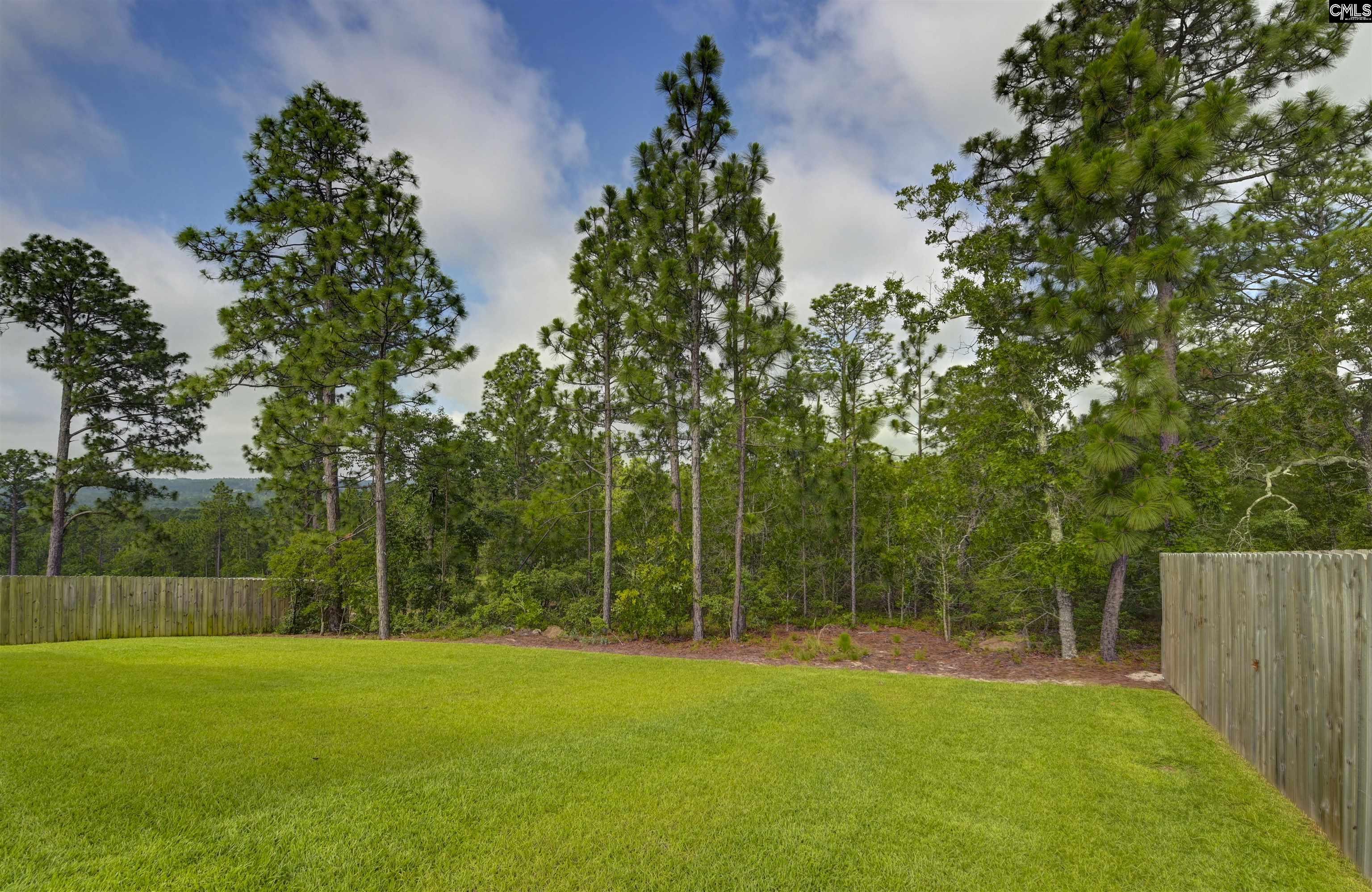 522 Sasanqua Lane, Lexington, South Carolina image 7