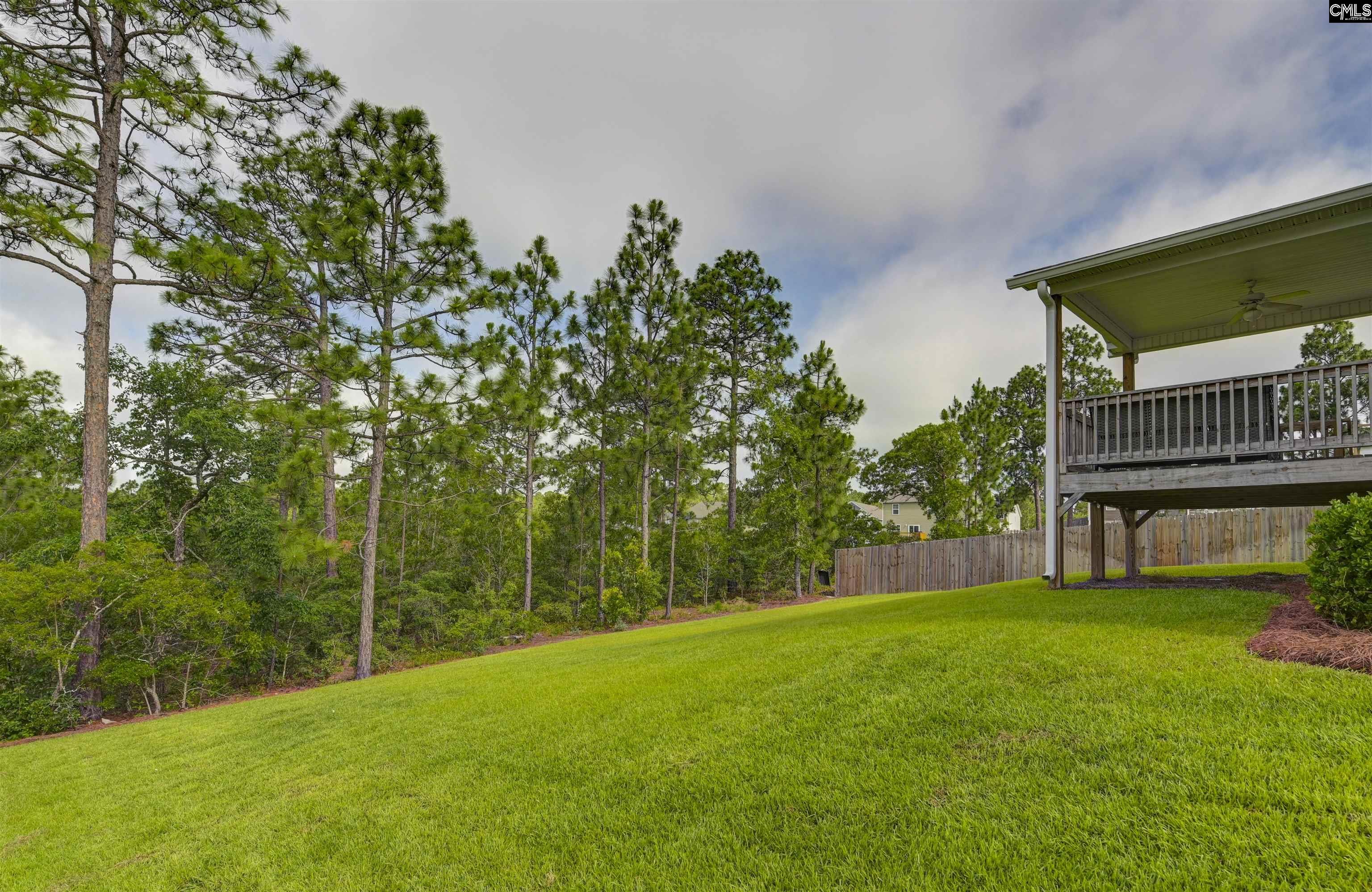 522 Sasanqua Lane, Lexington, South Carolina image 10
