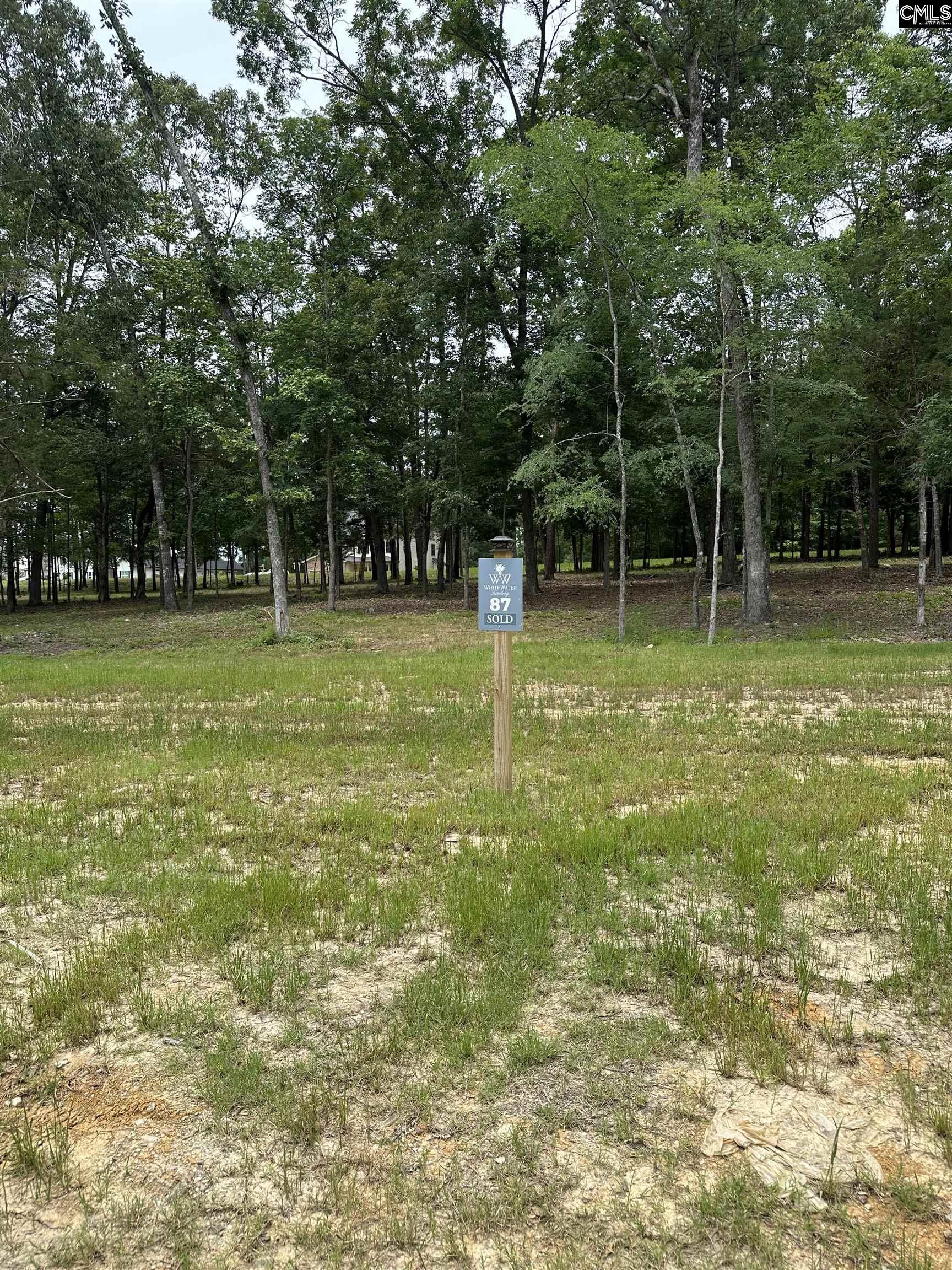 546 Misty Banks Drive #87, Chapin, South Carolina image 1
