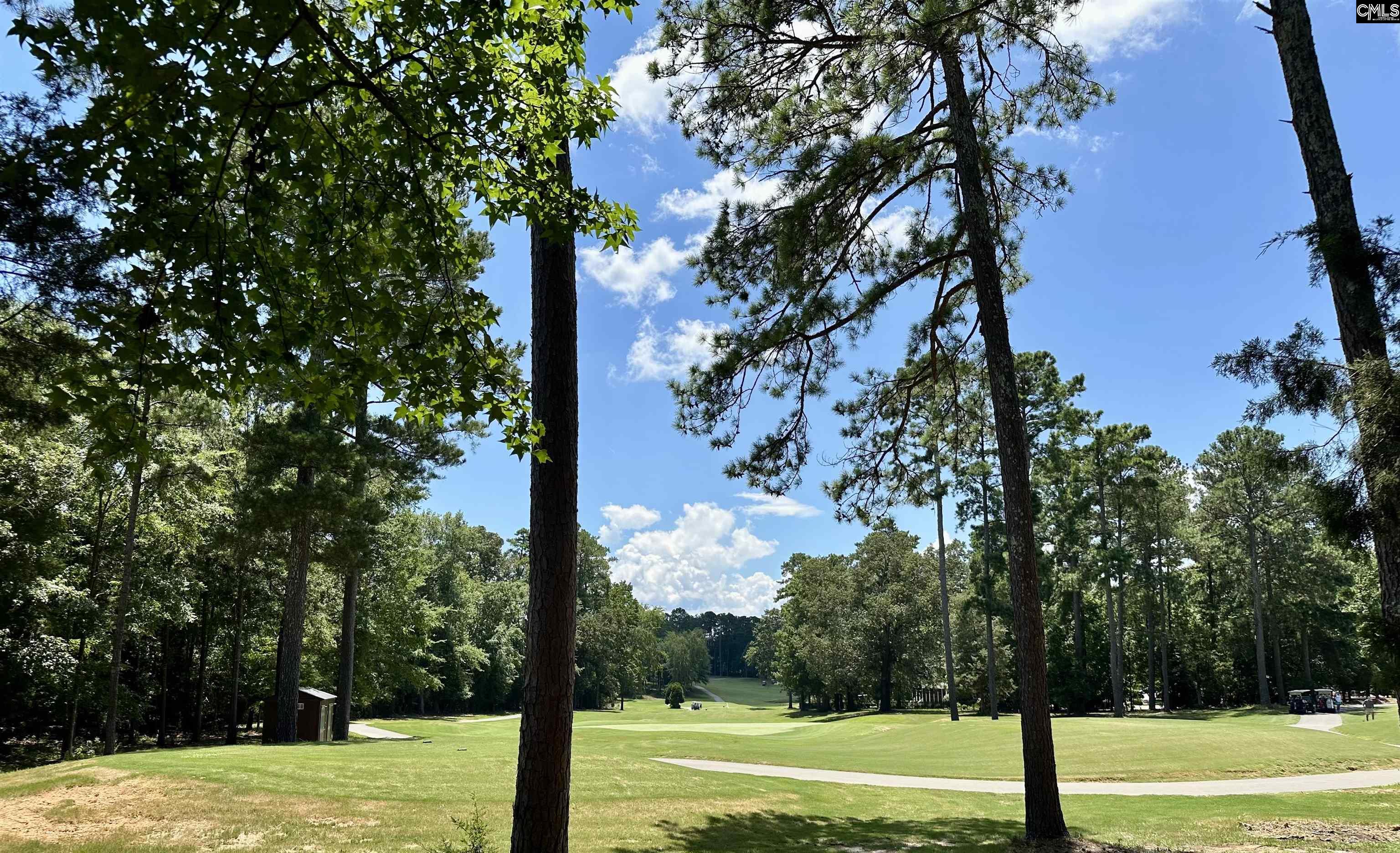 546 Misty Banks Drive UNIT #87 Chapin, SC 29036
