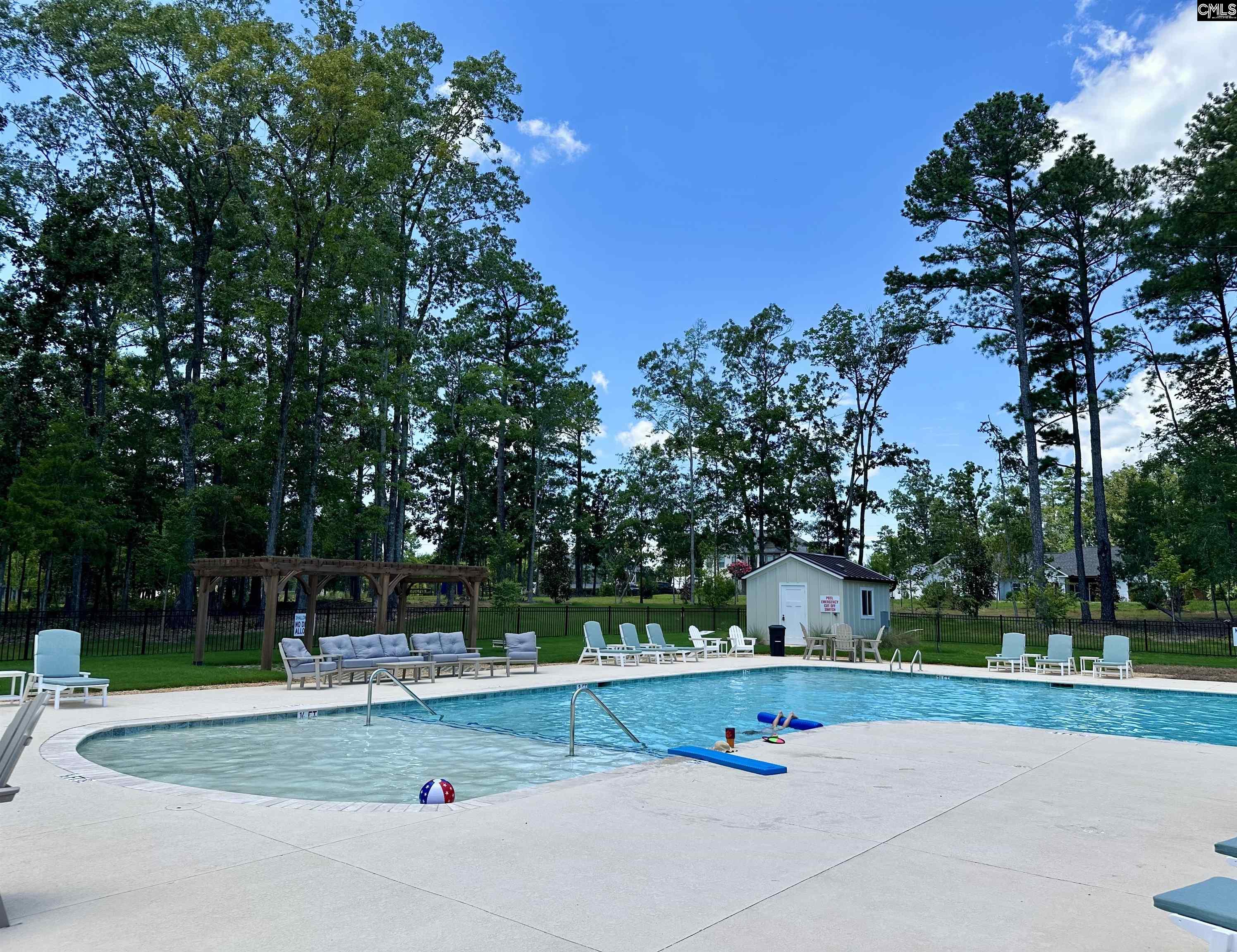 546 Misty Banks Drive UNIT #87 Chapin, SC 29036