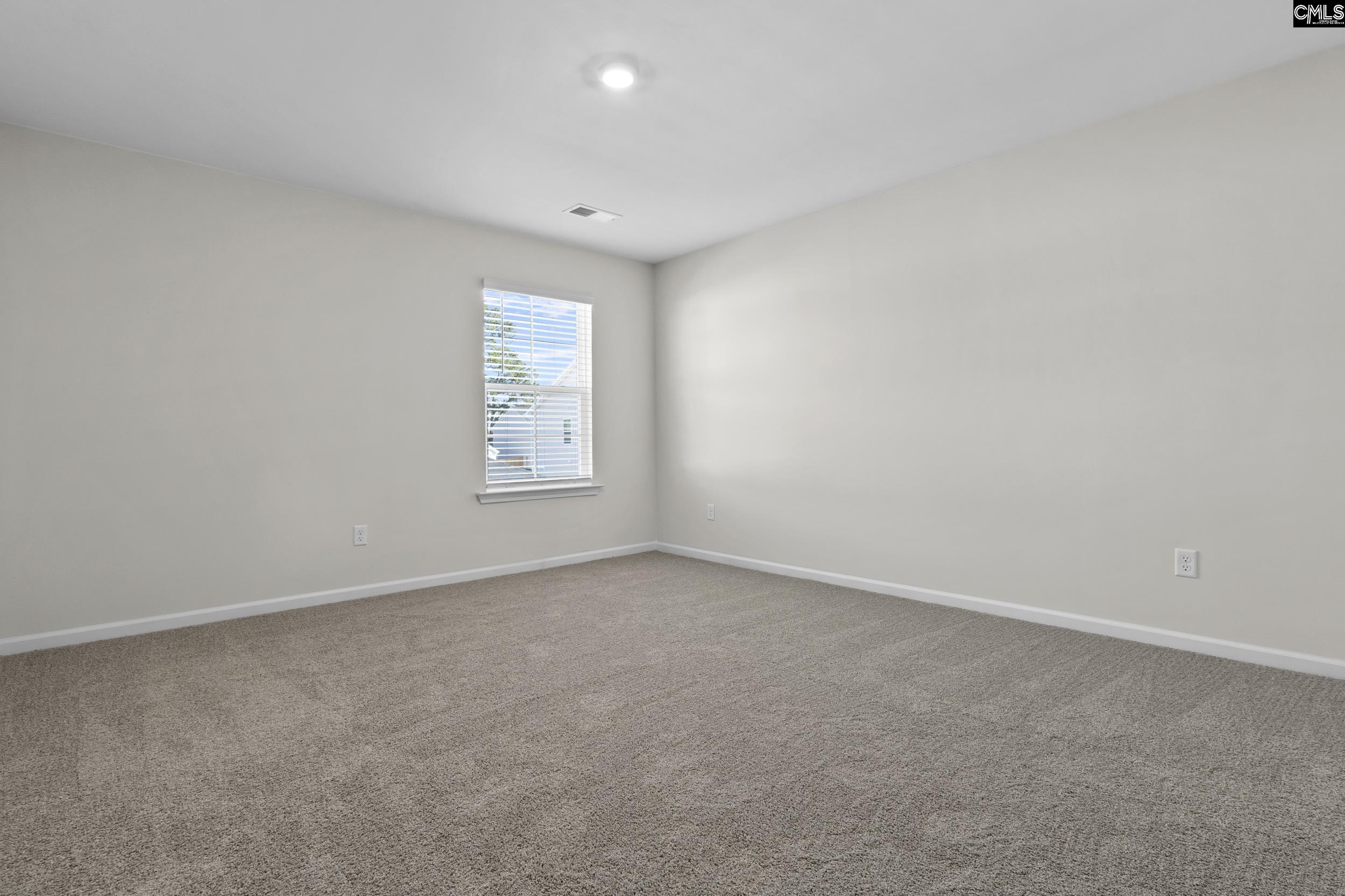 135 Calm Citadel Drive, Pelion, South Carolina image 13