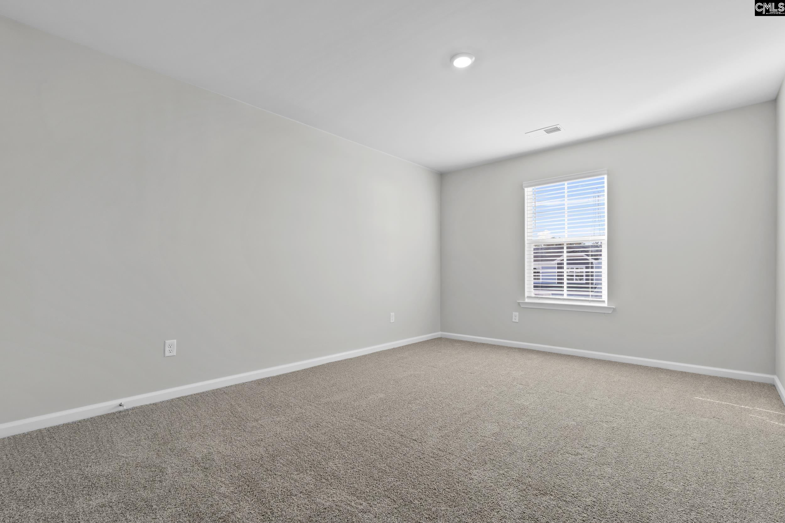 135 Calm Citadel Drive, Pelion, South Carolina image 20