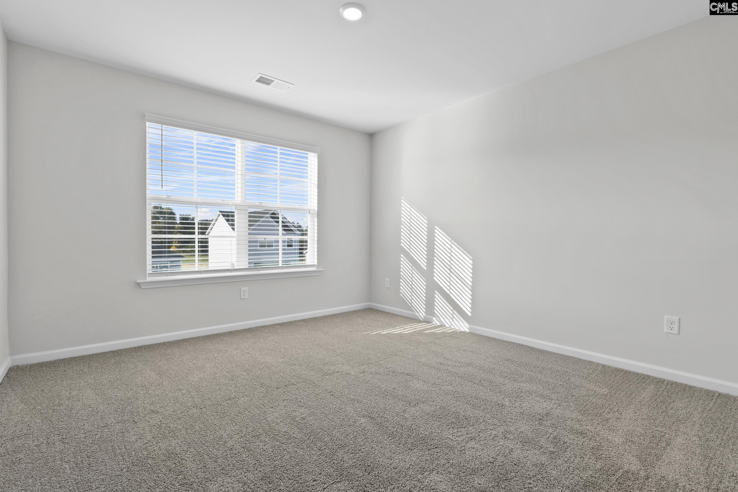 135 Calm Citadel Drive, Pelion, South Carolina image 22