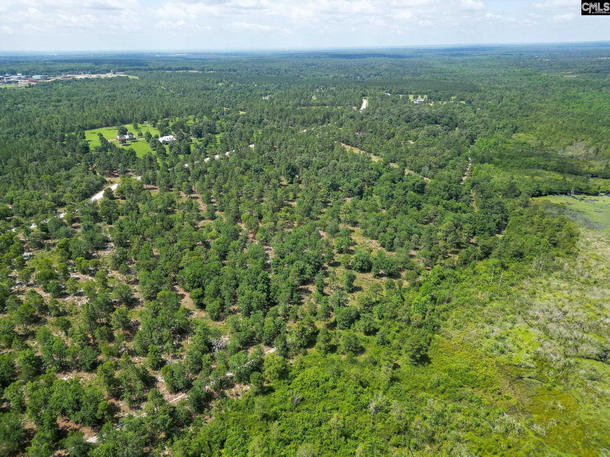 196 Hound Hollow Road, Camden, South Carolina image 14