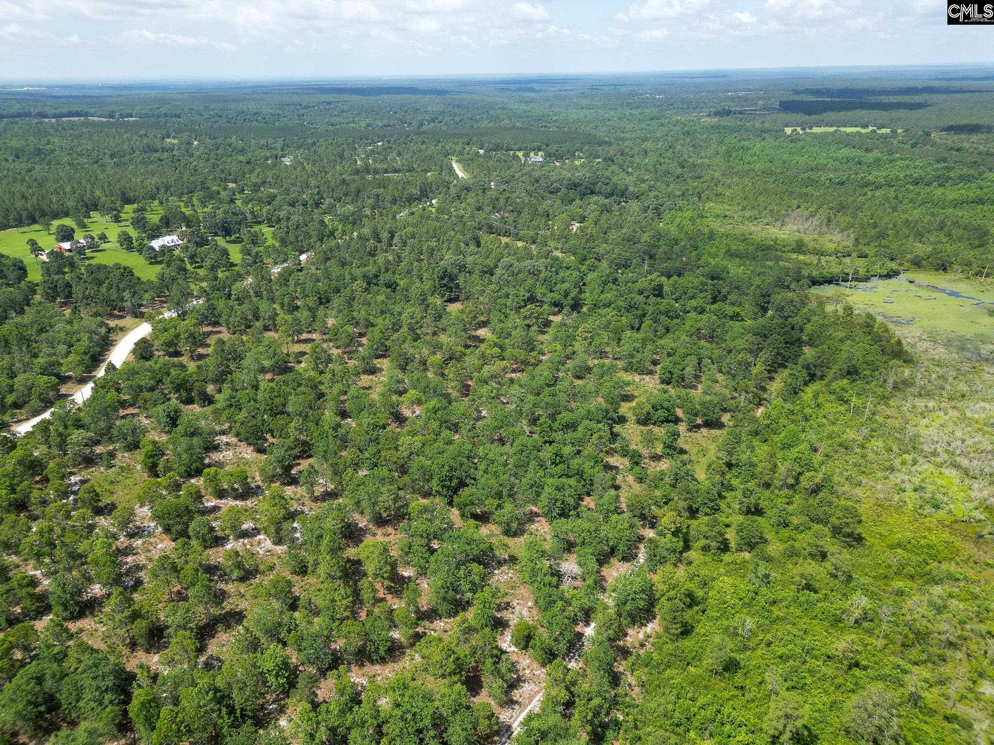 196 Hound Hollow Road, Camden, South Carolina image 15