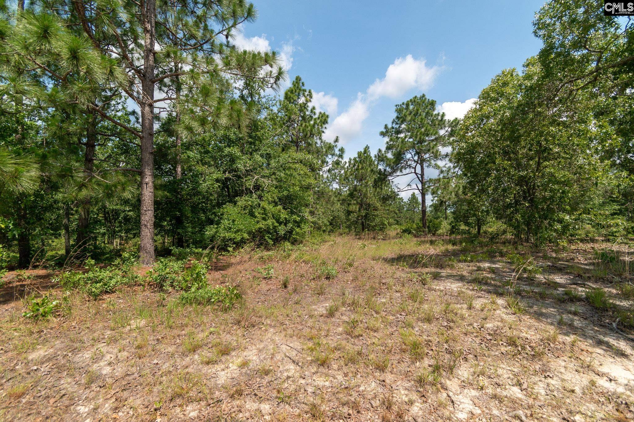 196 Hound Hollow Road, Camden, South Carolina image 19