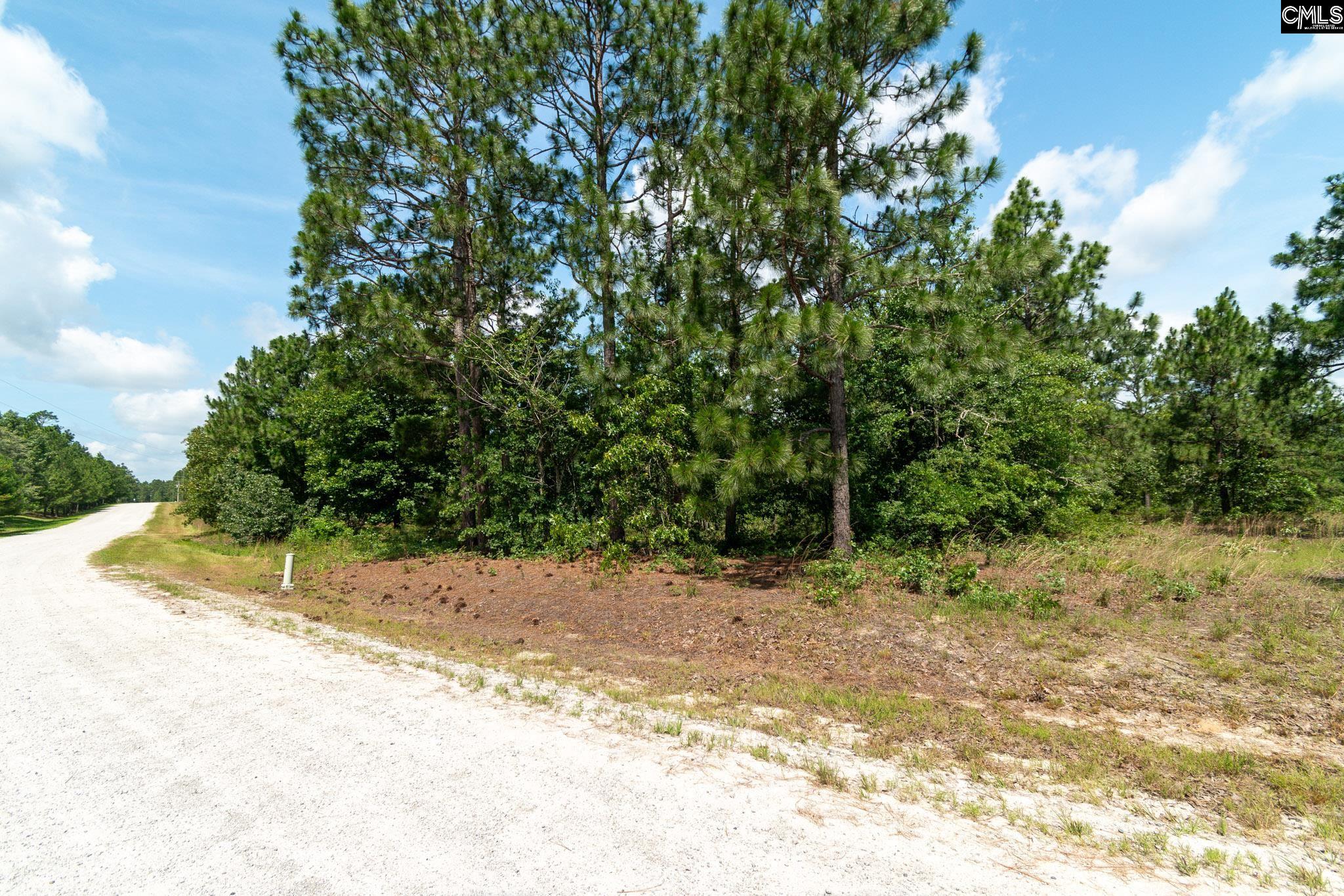 196 Hound Hollow Road, Camden, South Carolina image 20