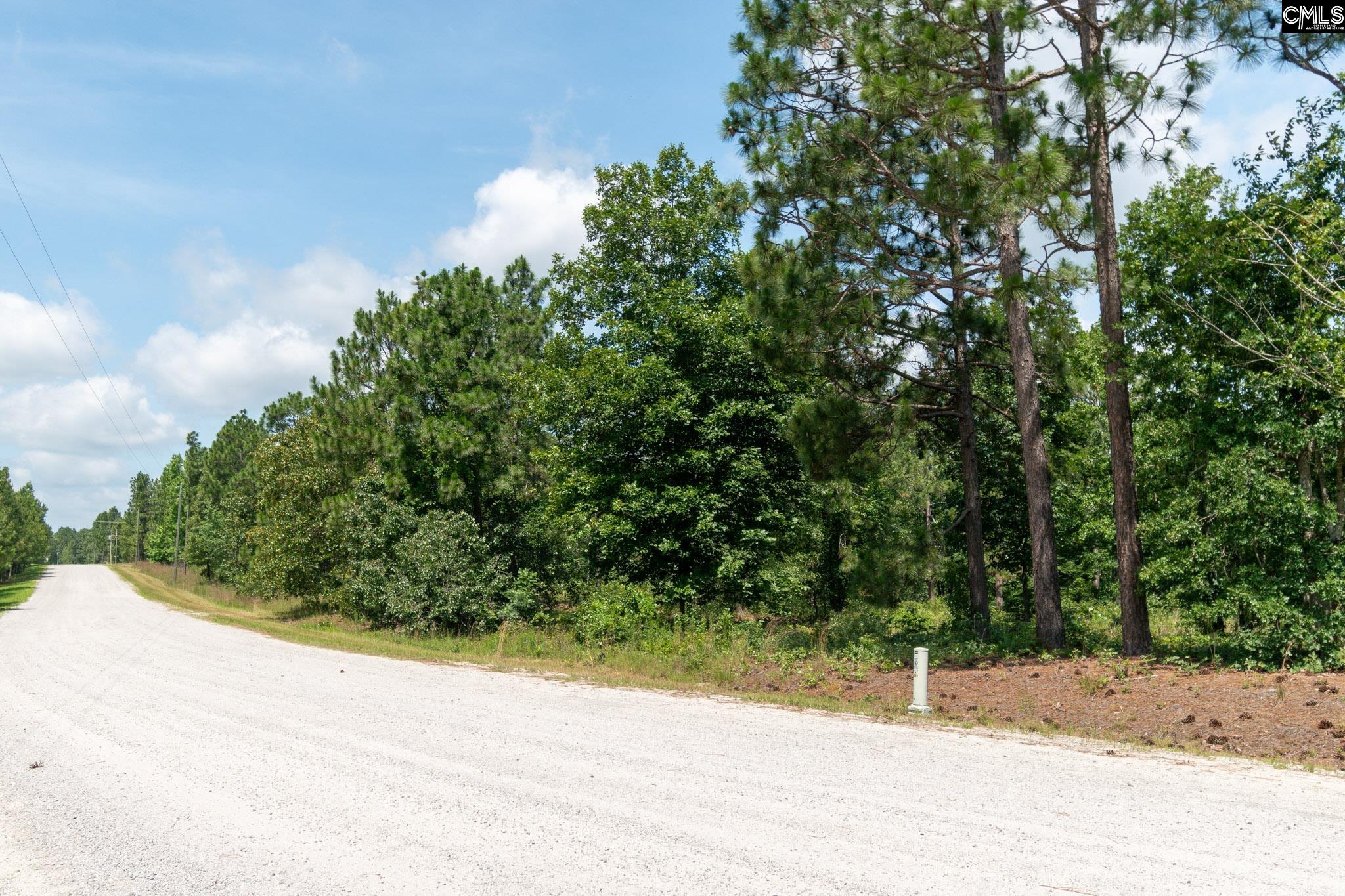 196 Hound Hollow Road, Camden, South Carolina image 21