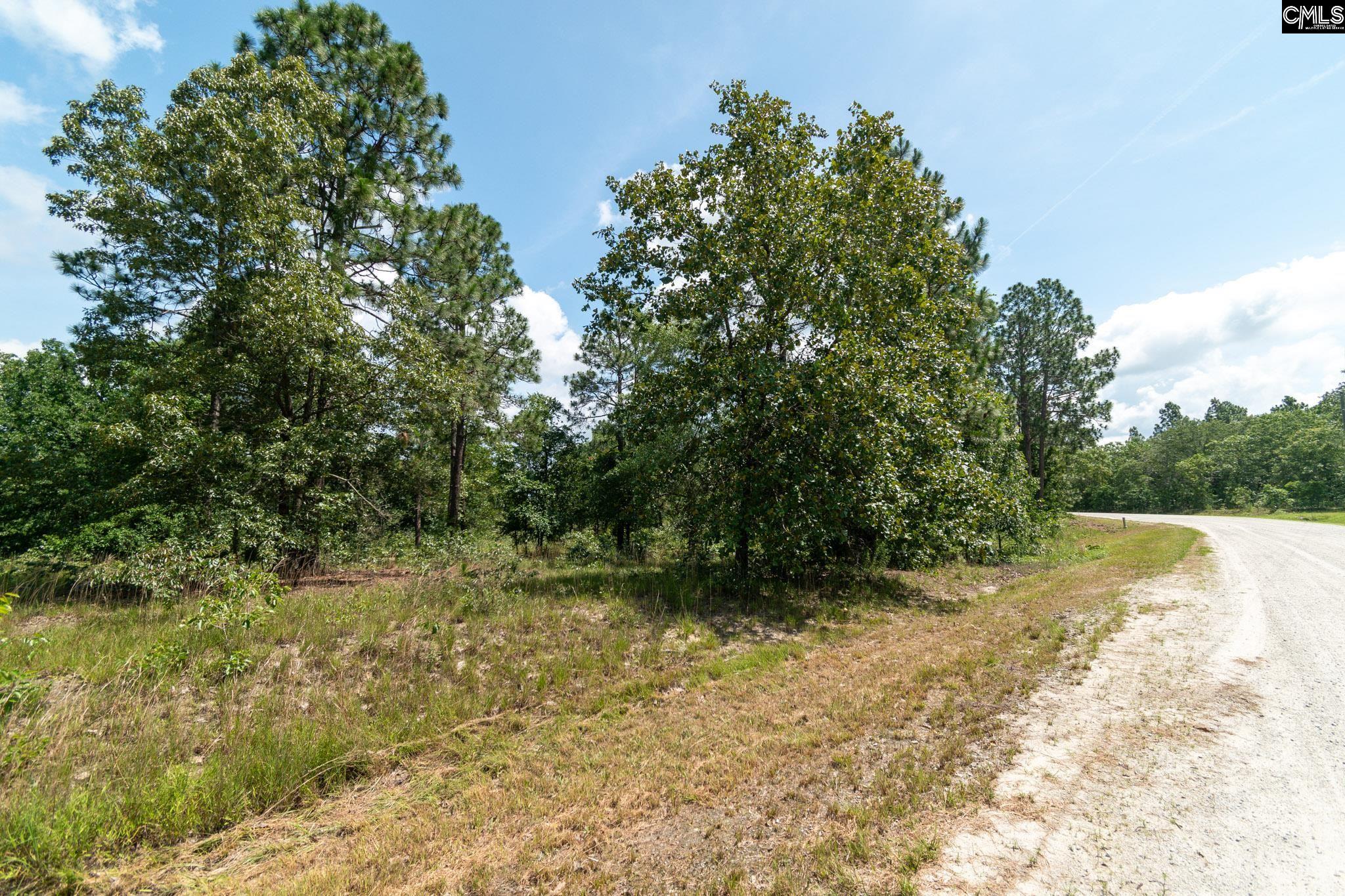 196 Hound Hollow Road, Camden, South Carolina image 22