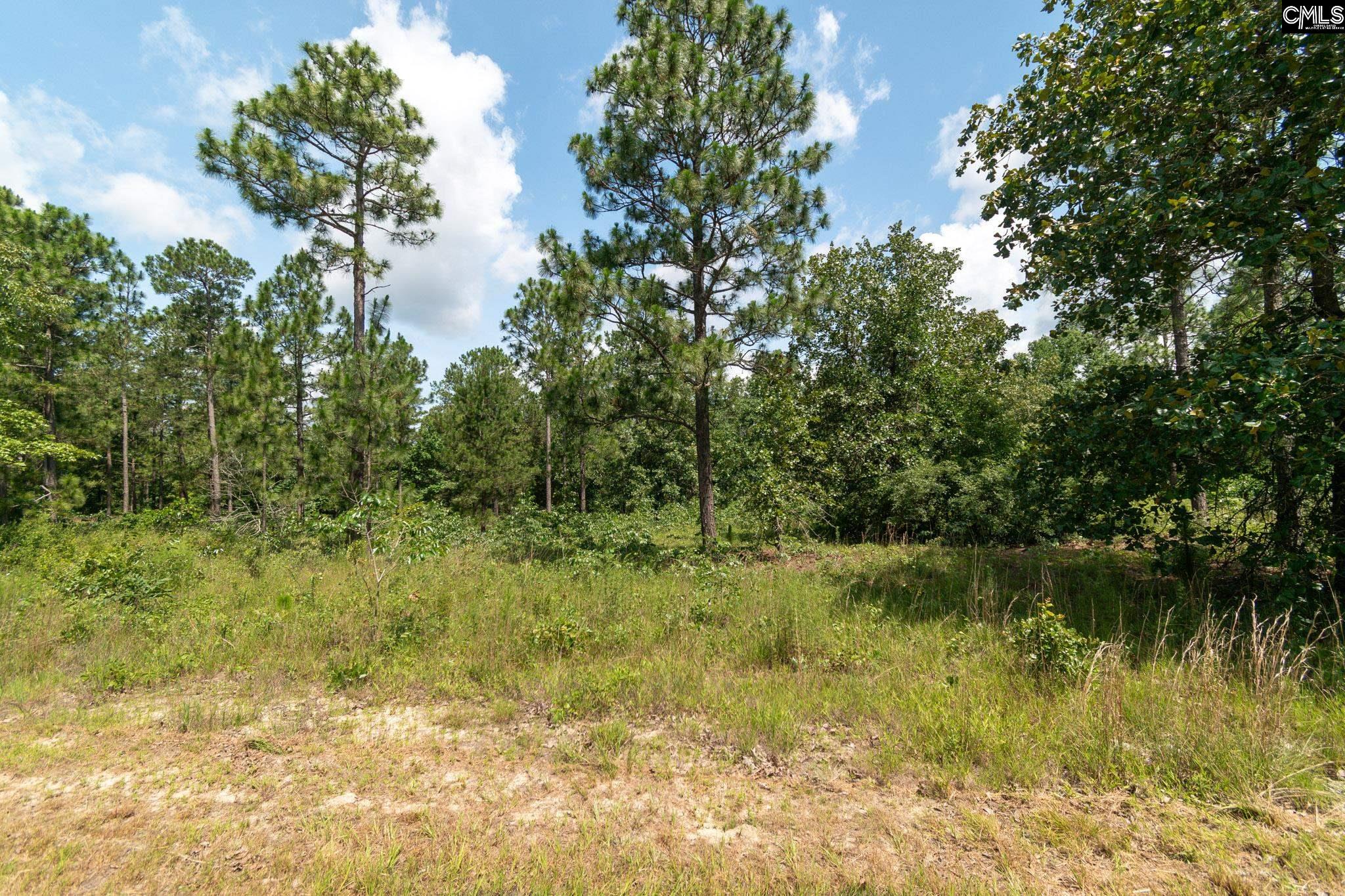 196 Hound Hollow Road, Camden, South Carolina image 23