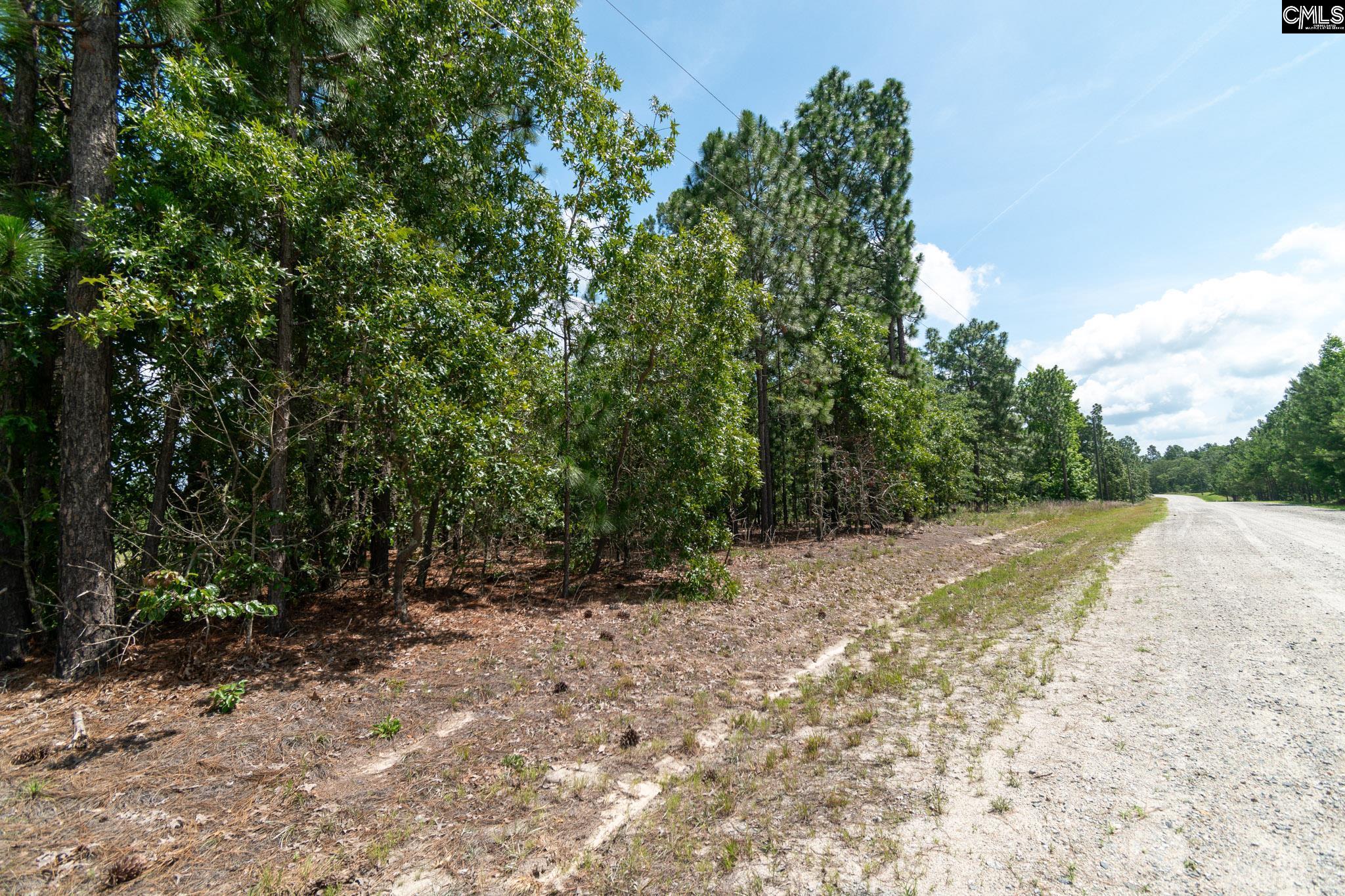 196 Hound Hollow Road, Camden, South Carolina image 24