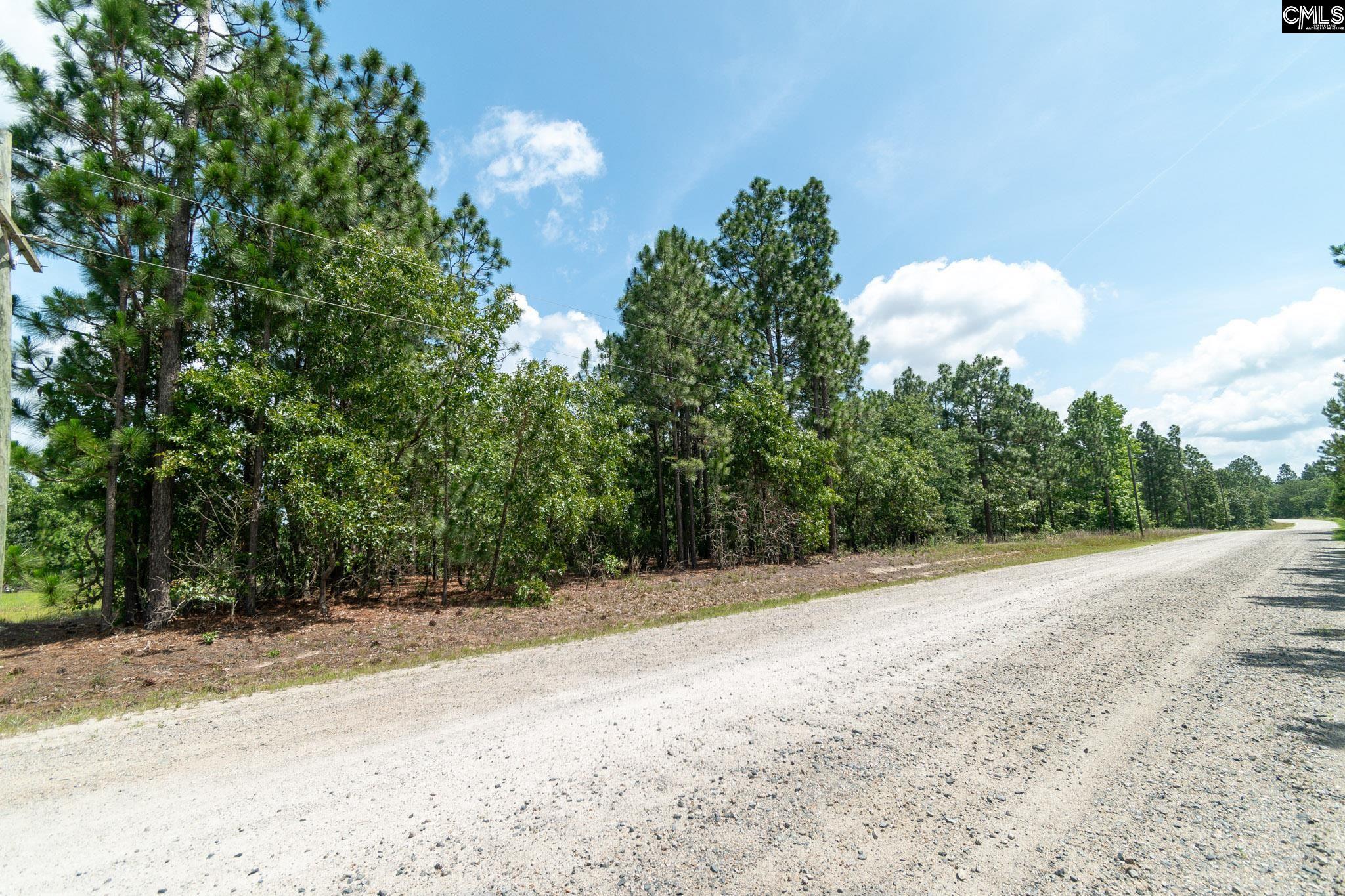 196 Hound Hollow Road, Camden, South Carolina image 25