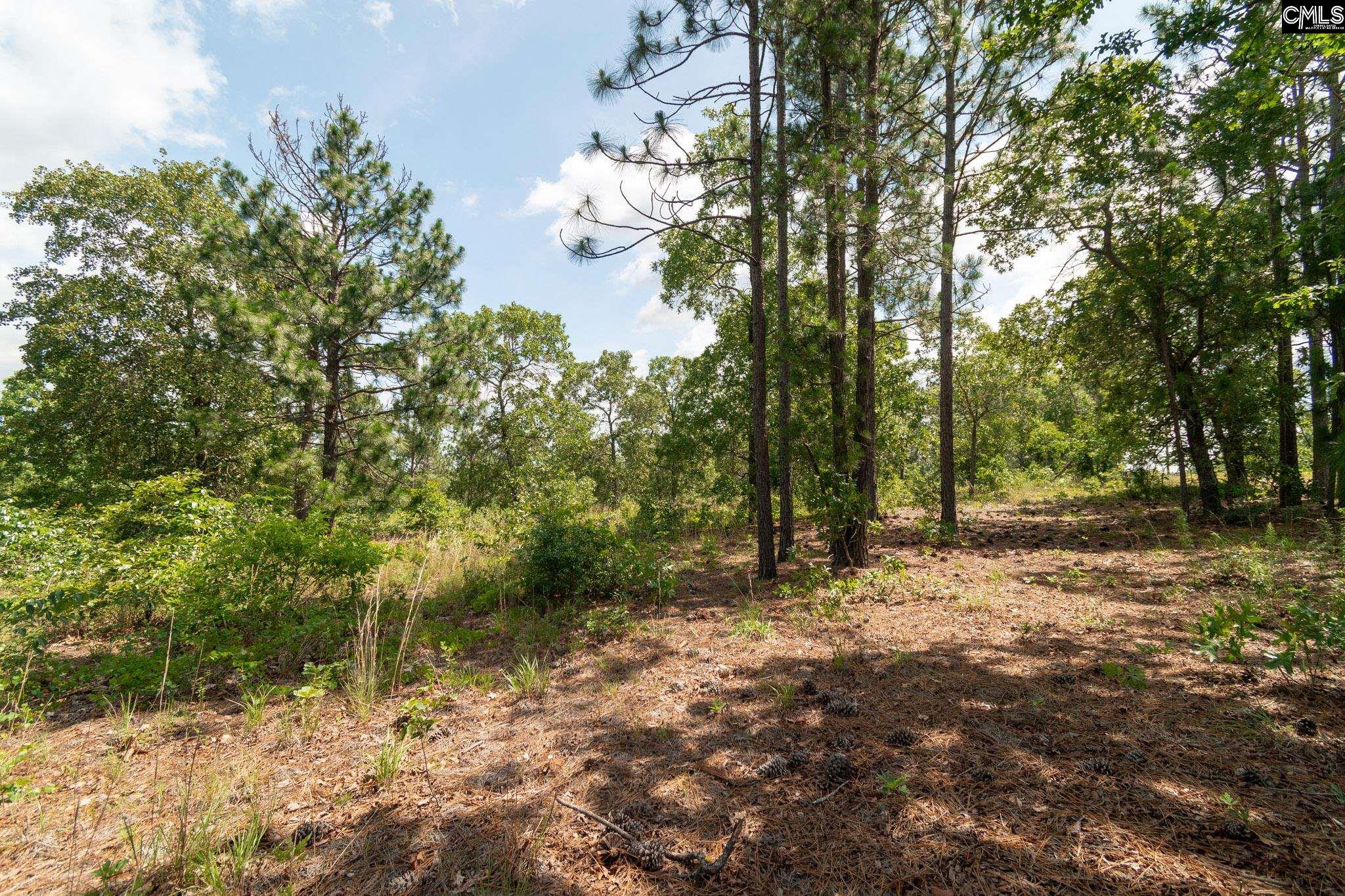 216 Hound Hollow Road, Camden, South Carolina image 31