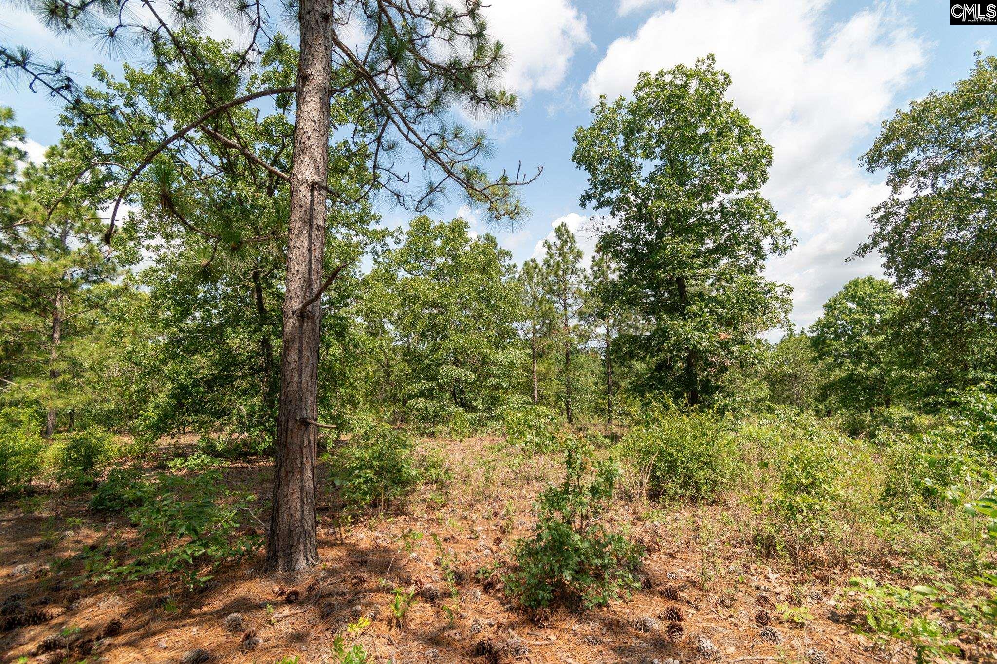216 Hound Hollow Road, Camden, South Carolina image 32